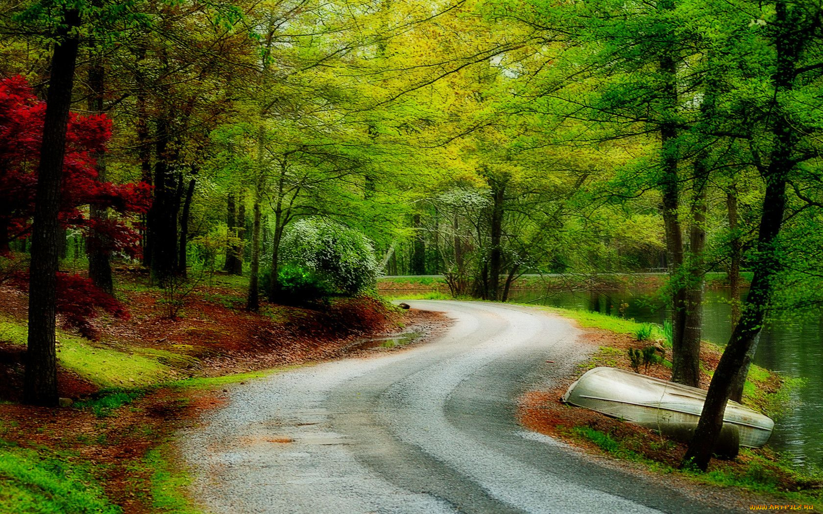 природа, дороги