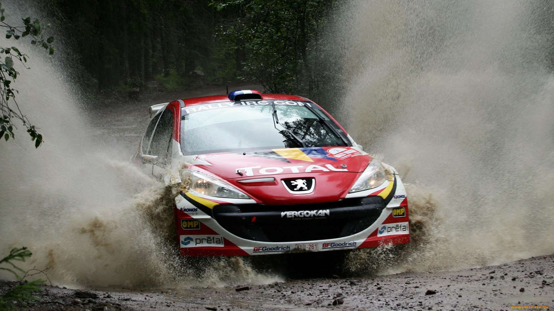 спорт, авторалли