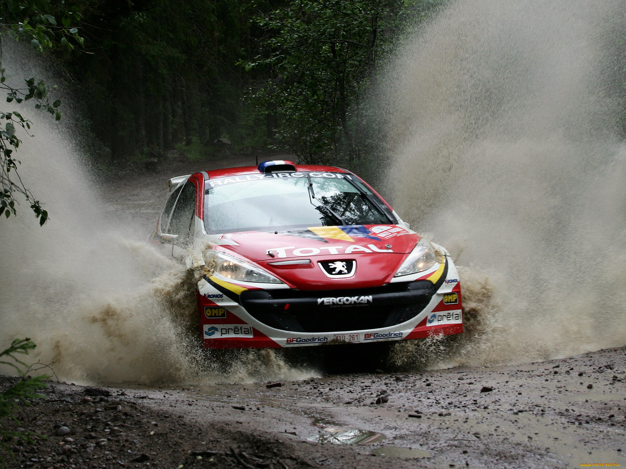 спорт, авторалли