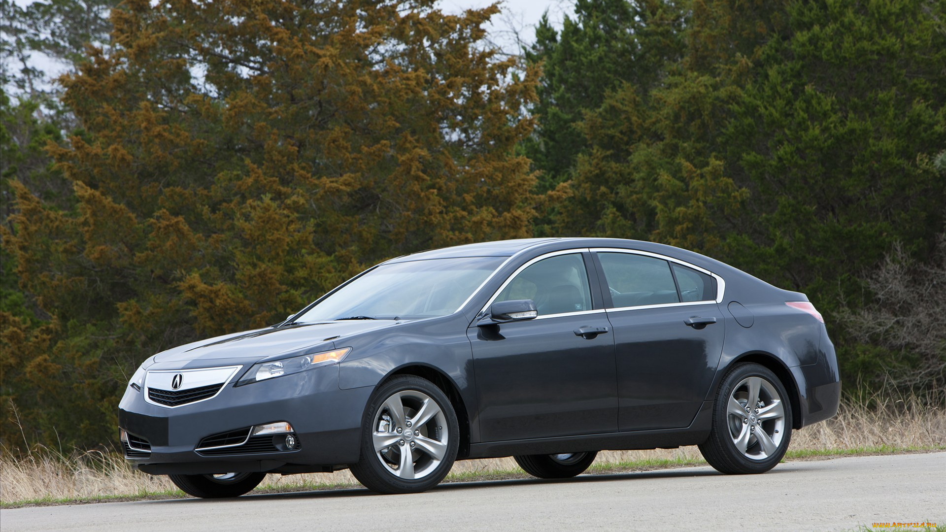 acura, tl, sh, amd, 2012, автомобили, авто