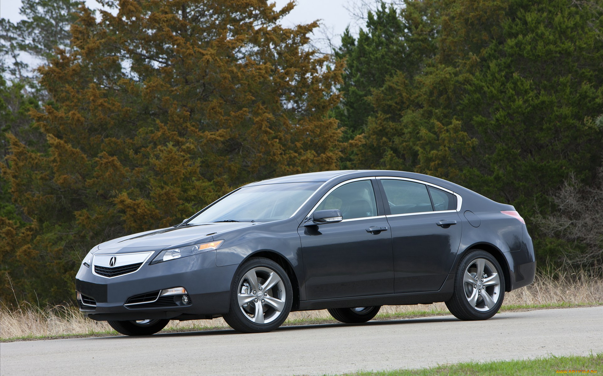 acura, tl, sh, amd, 2012, автомобили, авто