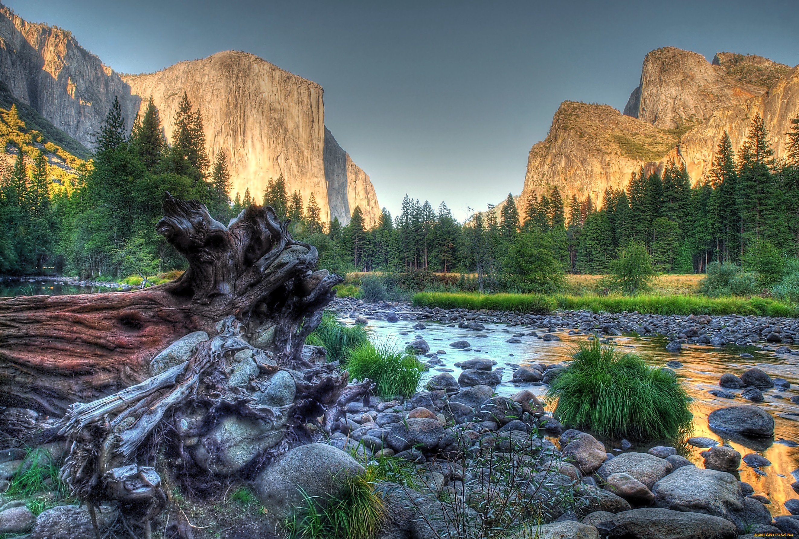 природа, реки, озера, камни, коряга, горы, река