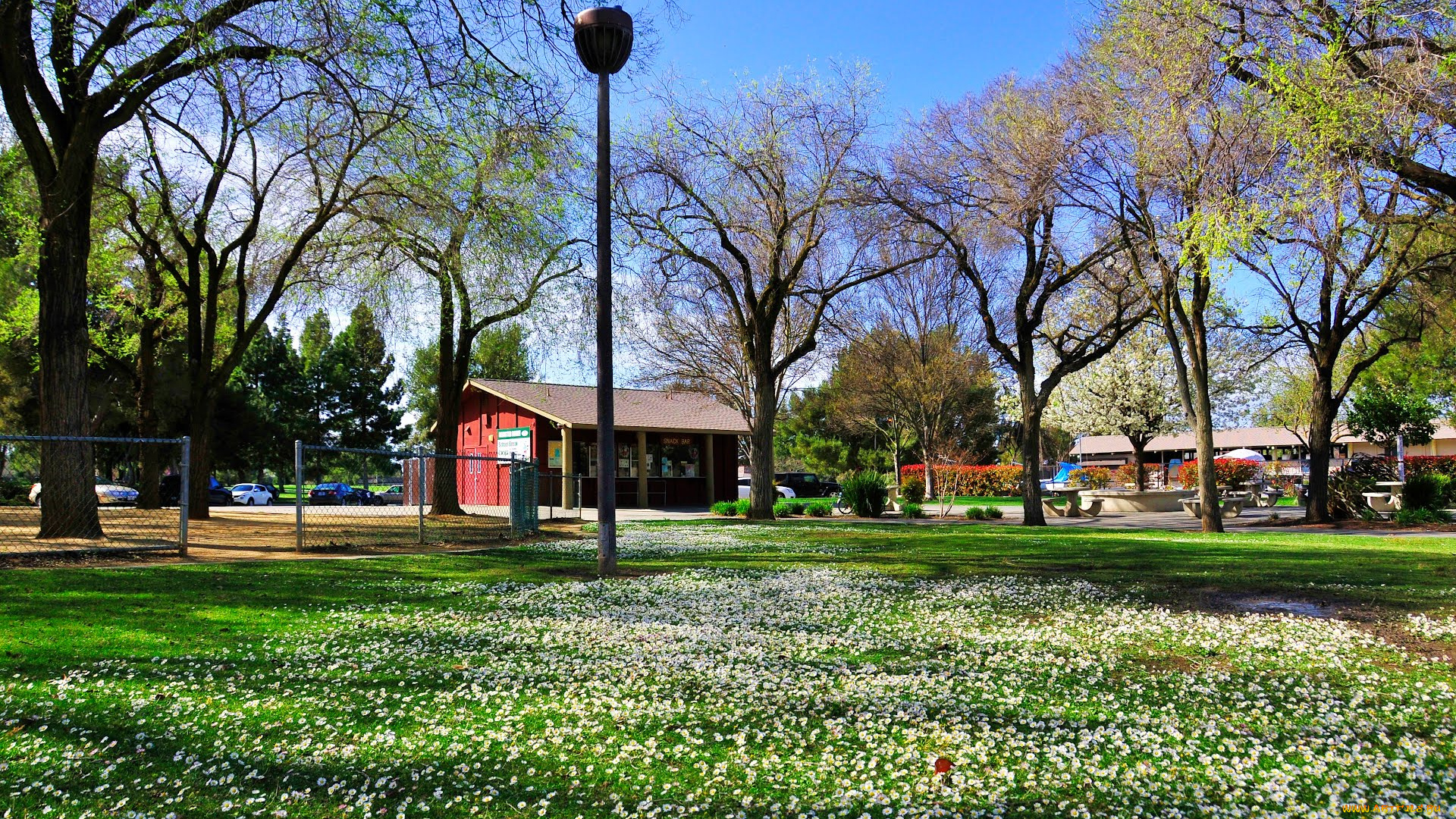 города, здания, дома, fremont