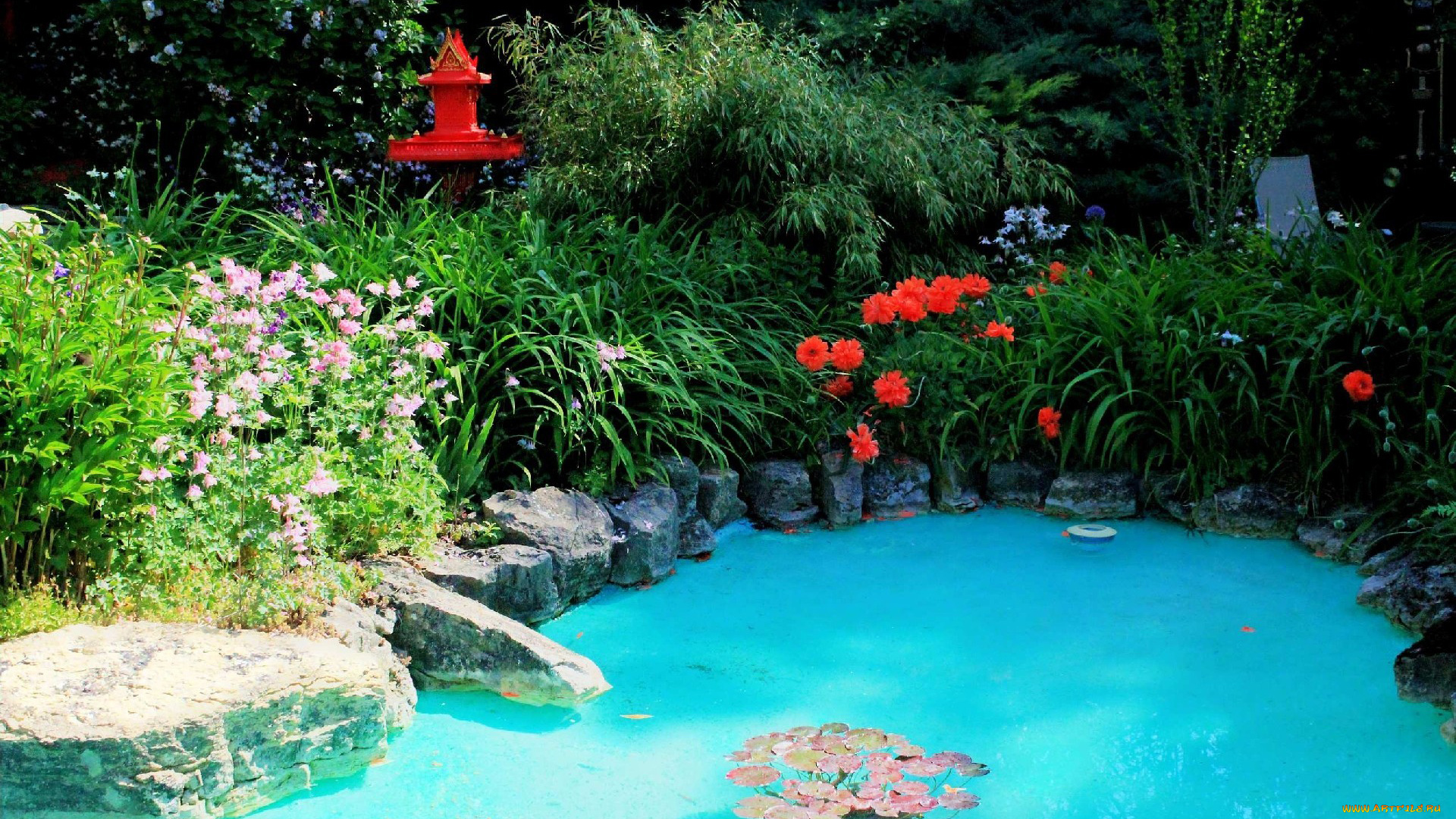 природа, парк, водоем, камни, цветы