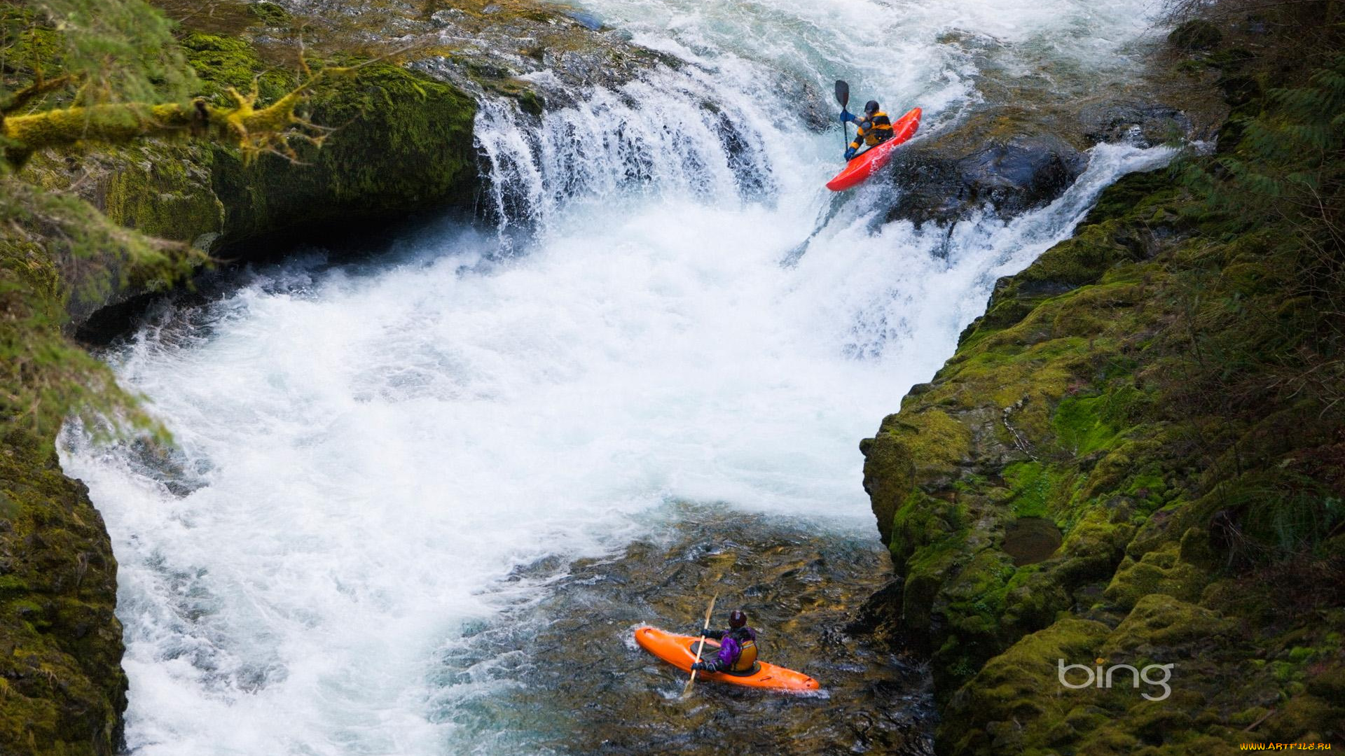 природа, реки, озера, река