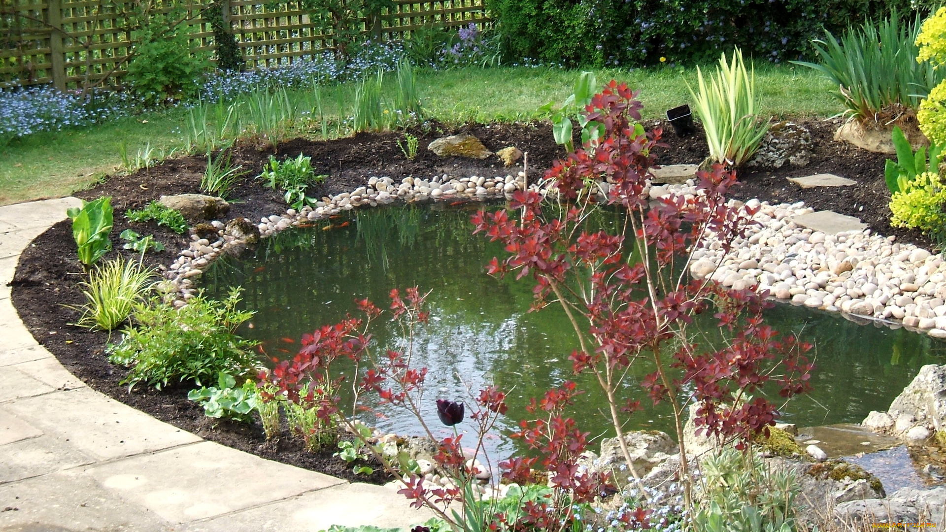 water, gardens, природа, парк, цветы, водоем, камешки, кусты