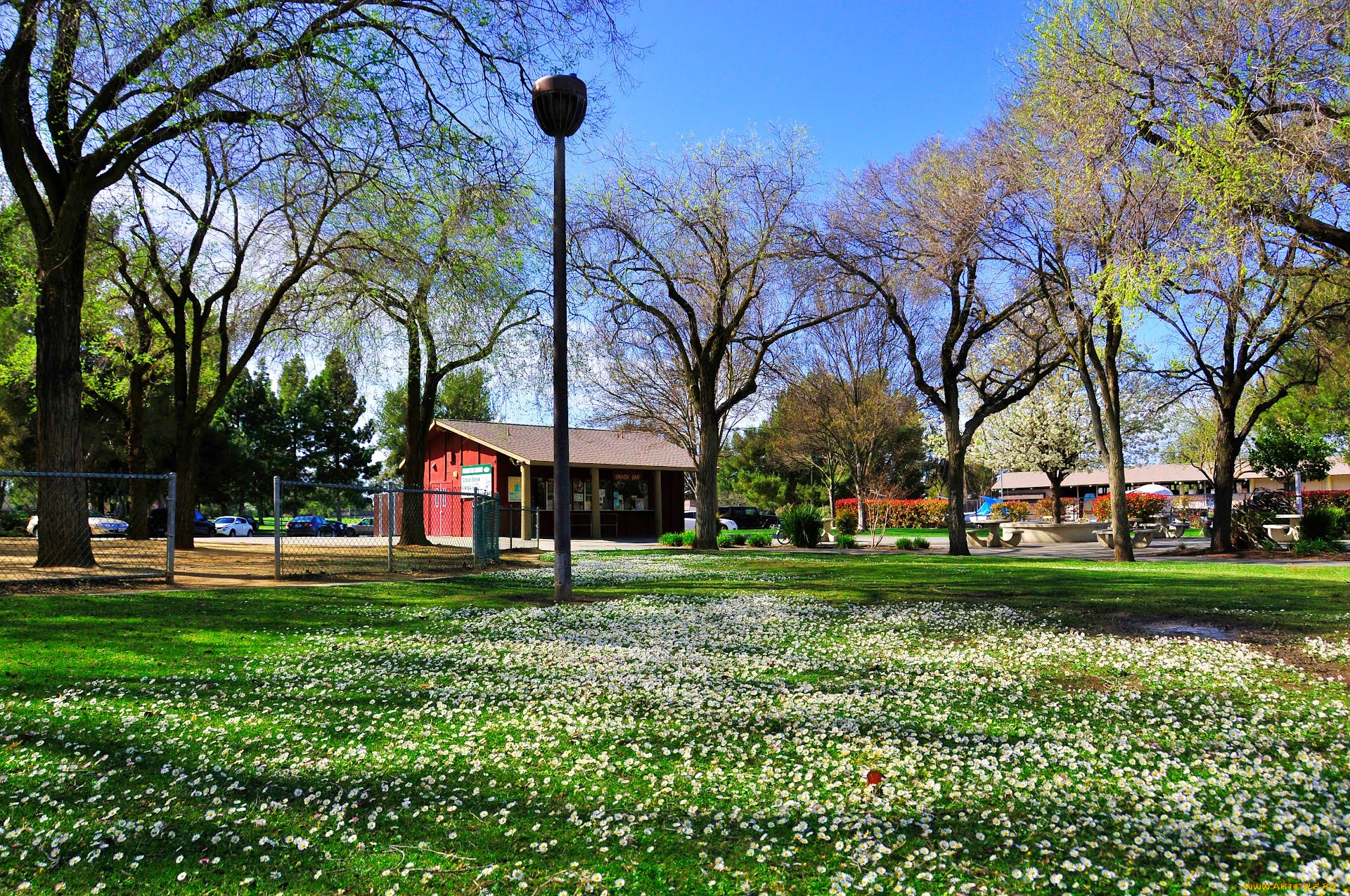 города, здания, дома, fremont