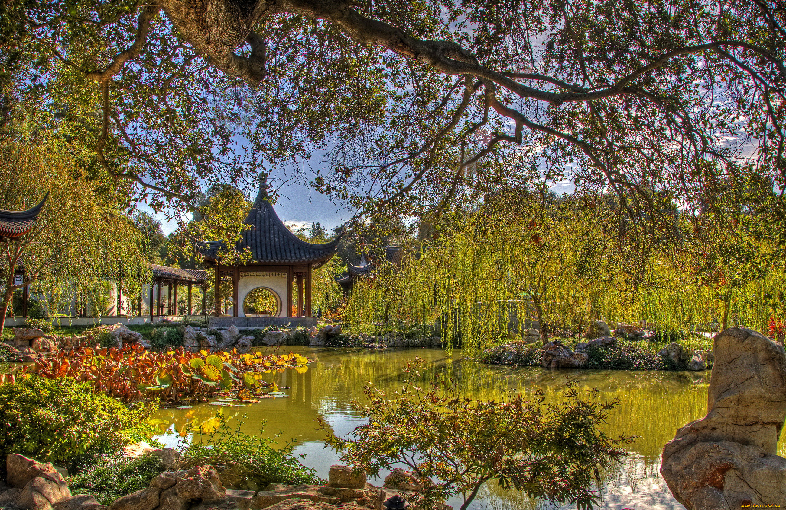 chinese, garden, san, marino, california, usa, природа, парк, мостик, пруд