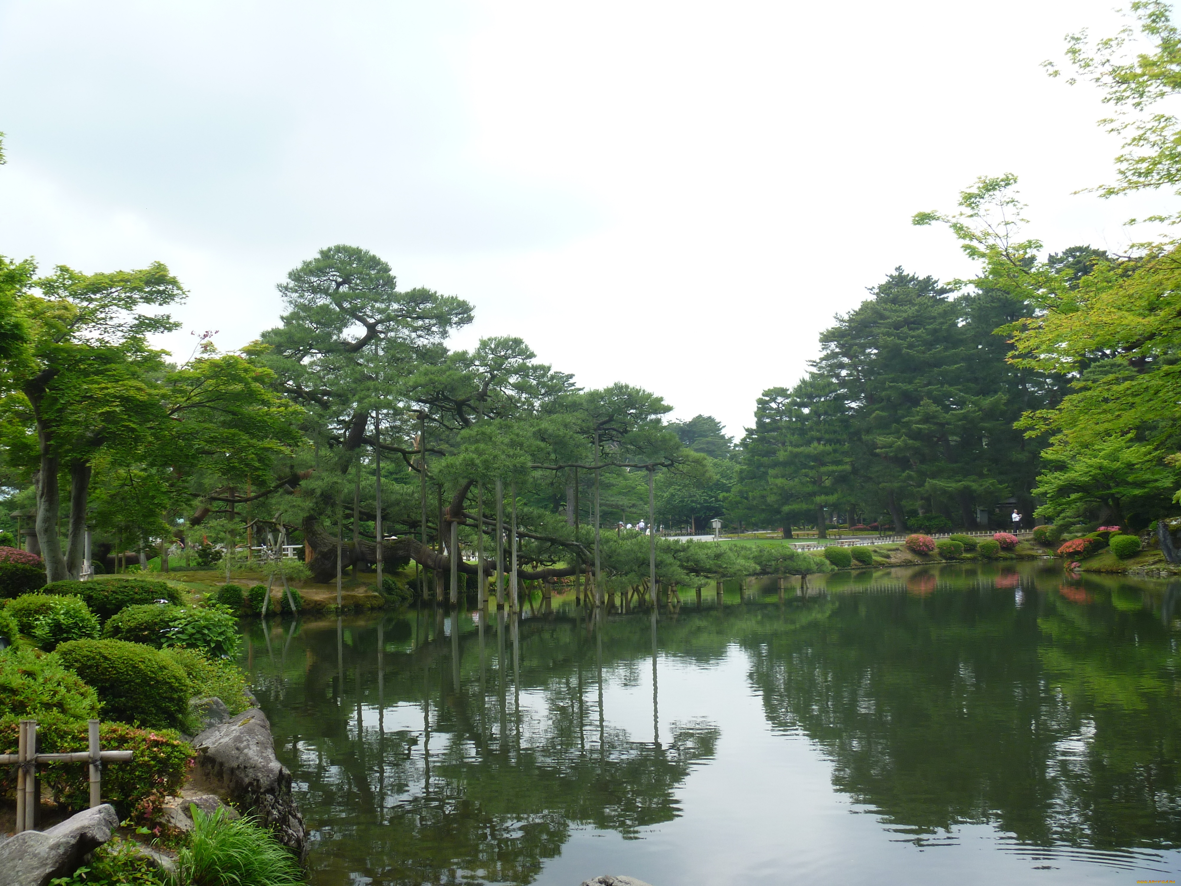 природа, парк, Япония, кенрокуен