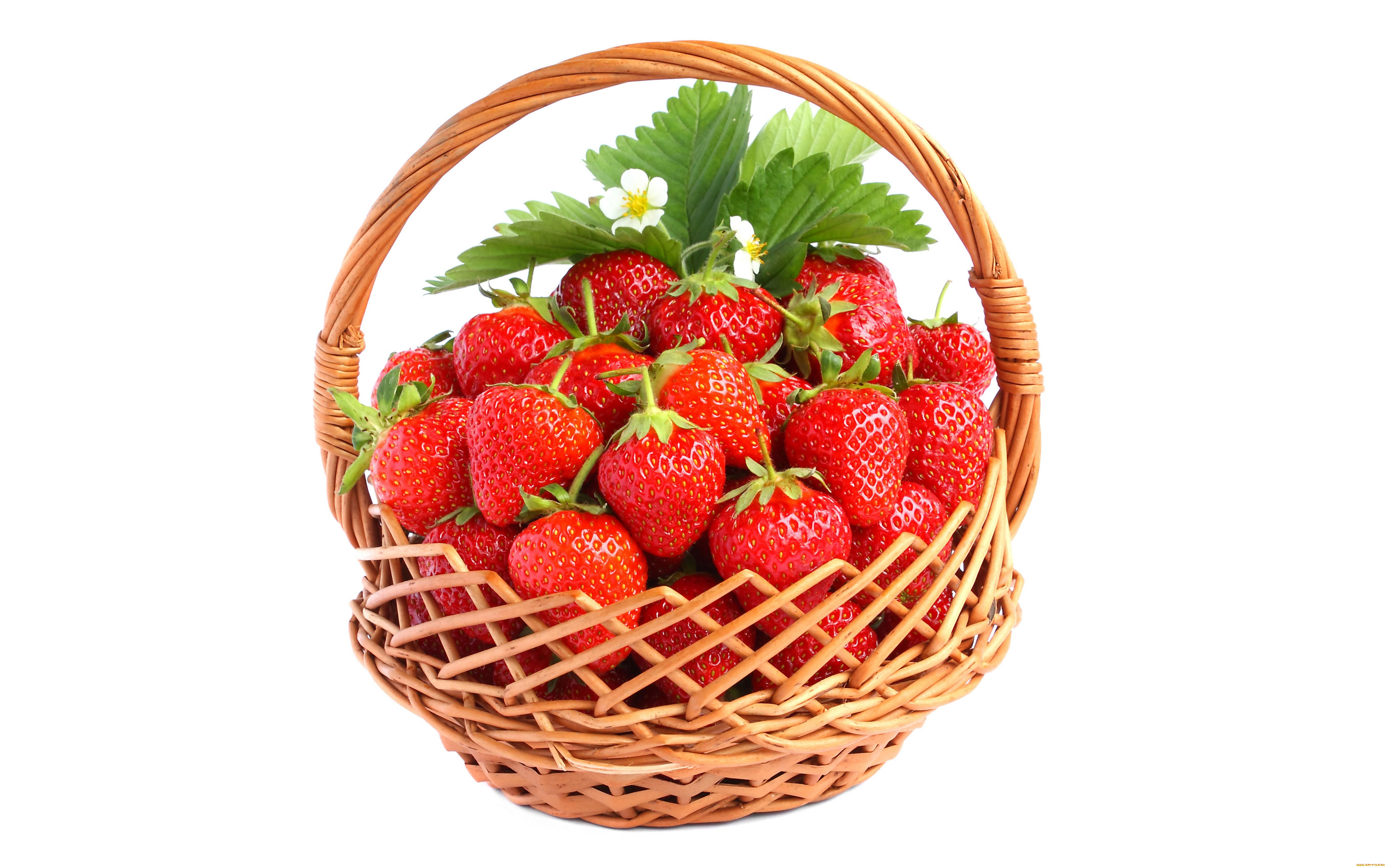еда, клубника, земляника, корзинка, ягоды
