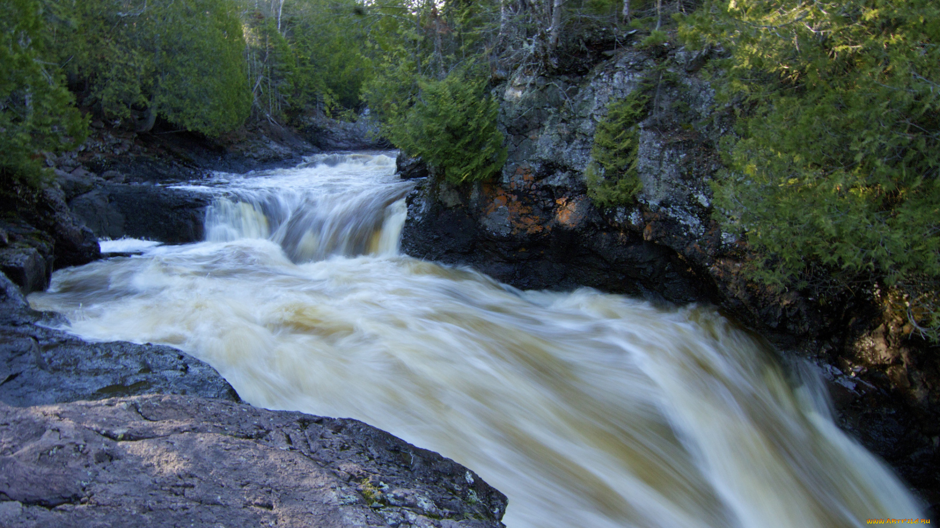 cascade, river, state, park, minnesota, природа, реки, озера, река, поток, лес