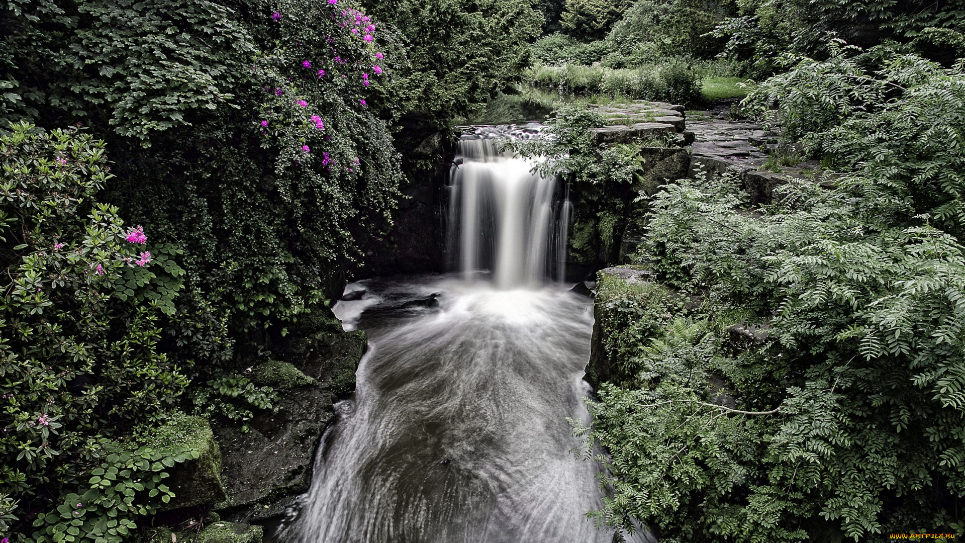jesmond, dene, waterfall, newcastle, england, природа, водопады, кусты, лес, англия, ньюкасл