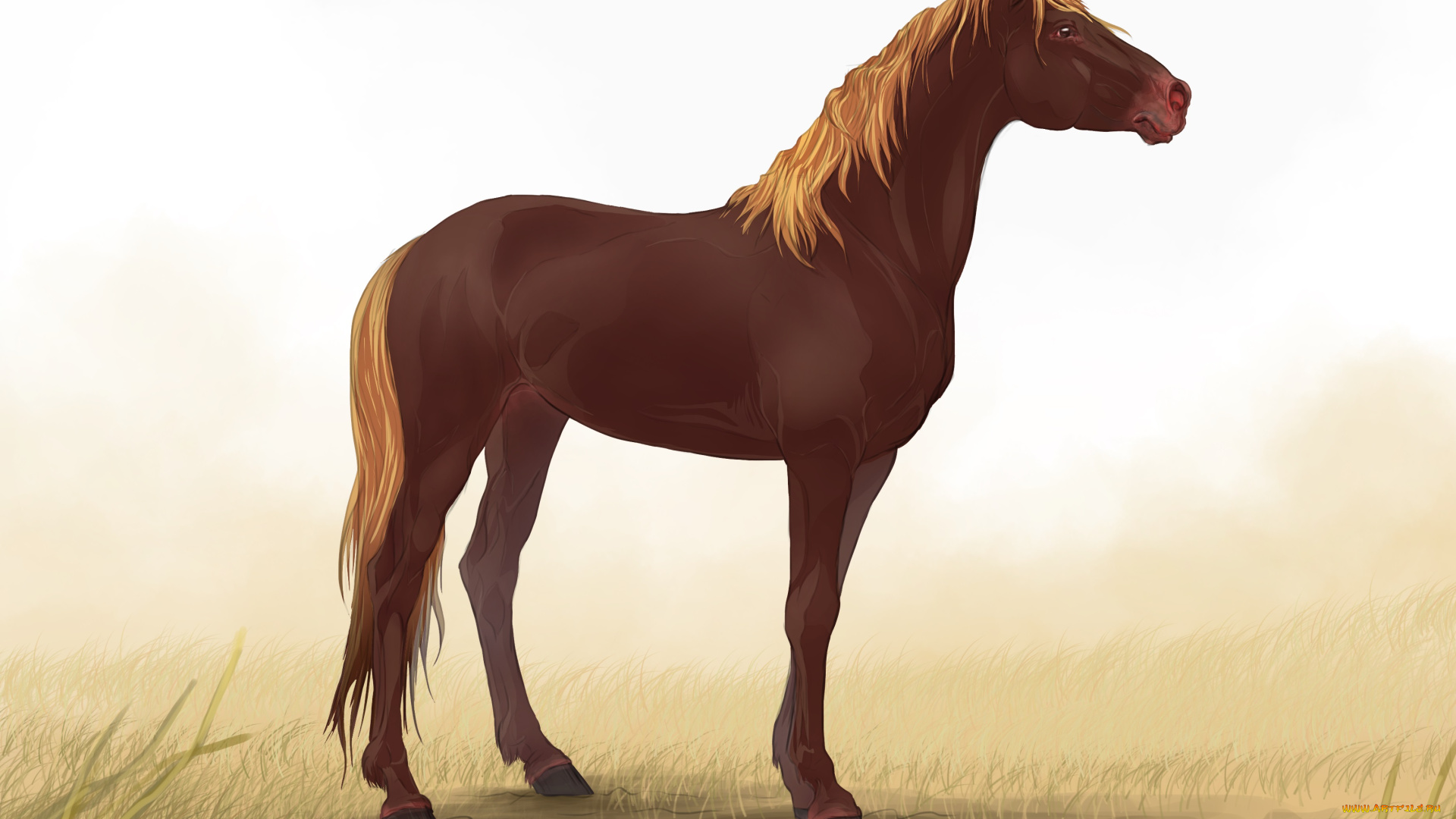 рисованные, животные, лошади, лошадь