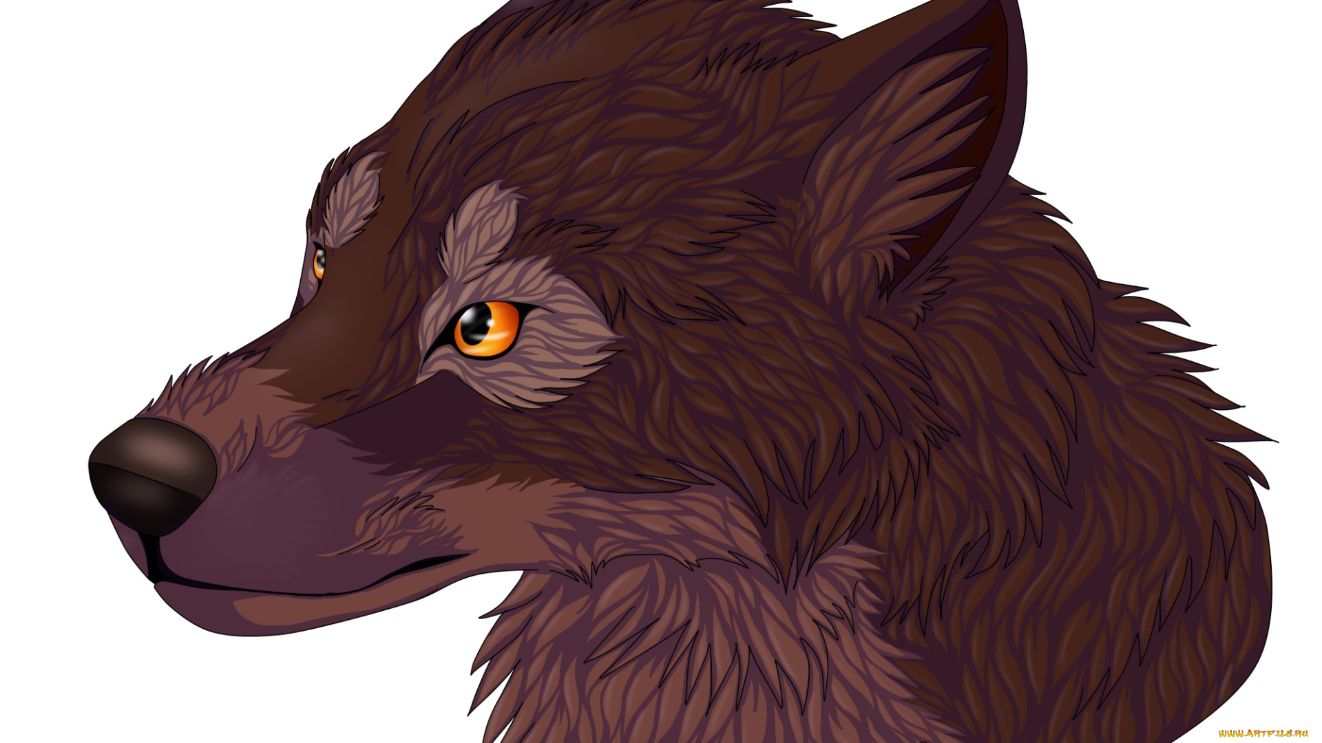 рисованные, животные, собаки, собака