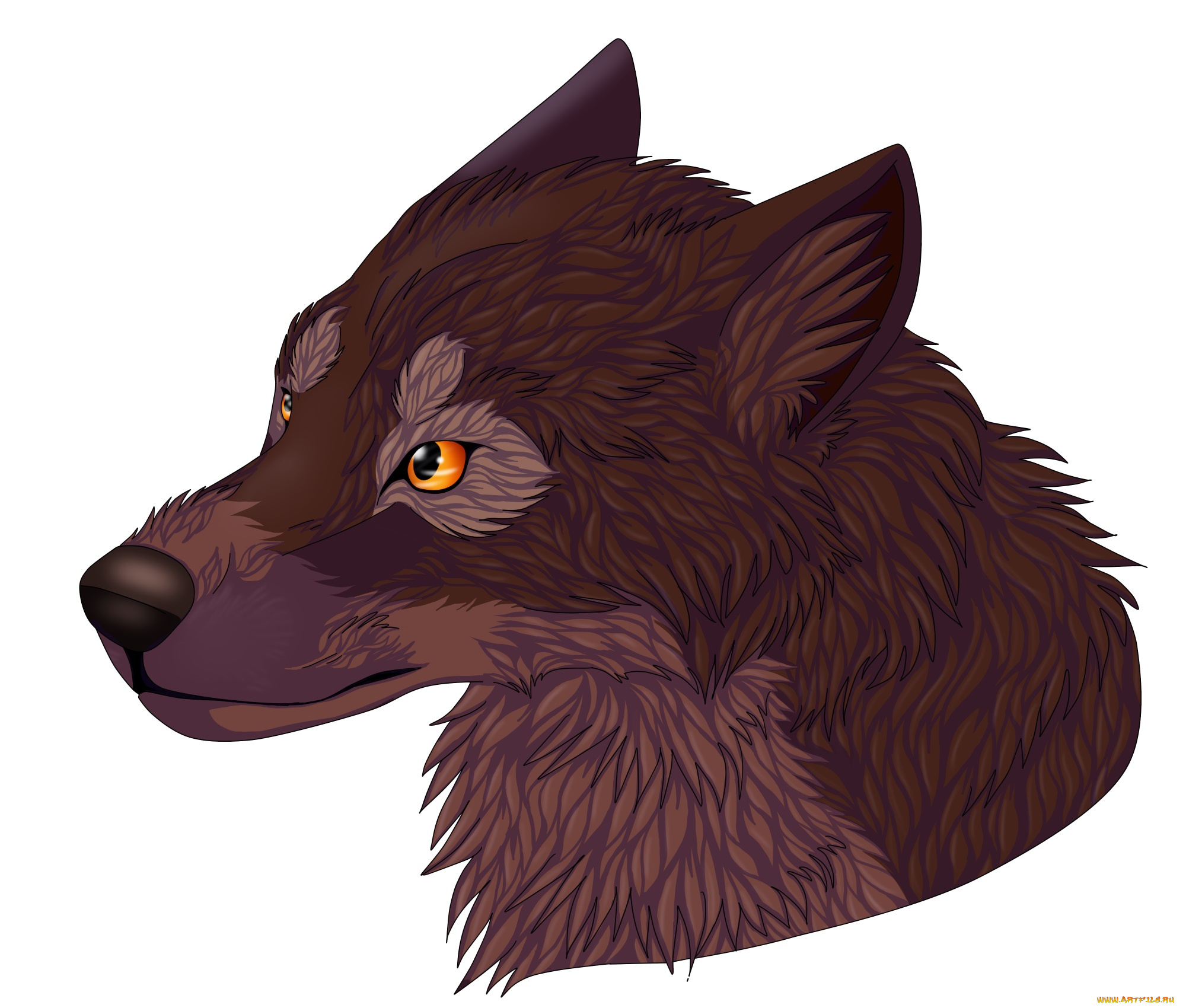 рисованные, животные, собаки, собака