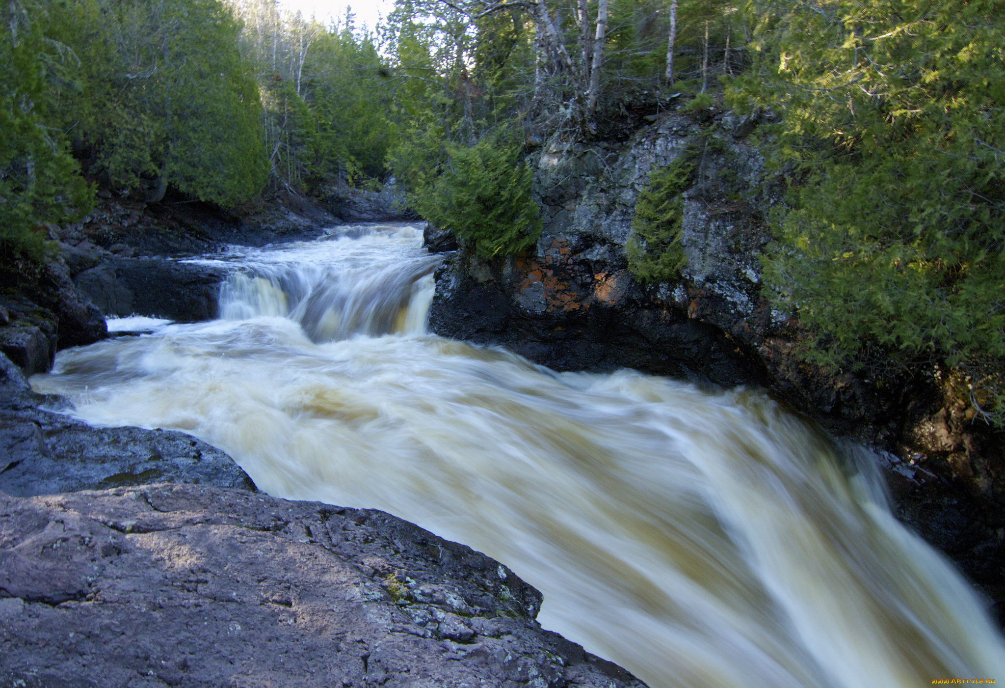 cascade, river, state, park, minnesota, природа, реки, озера, река, поток, лес