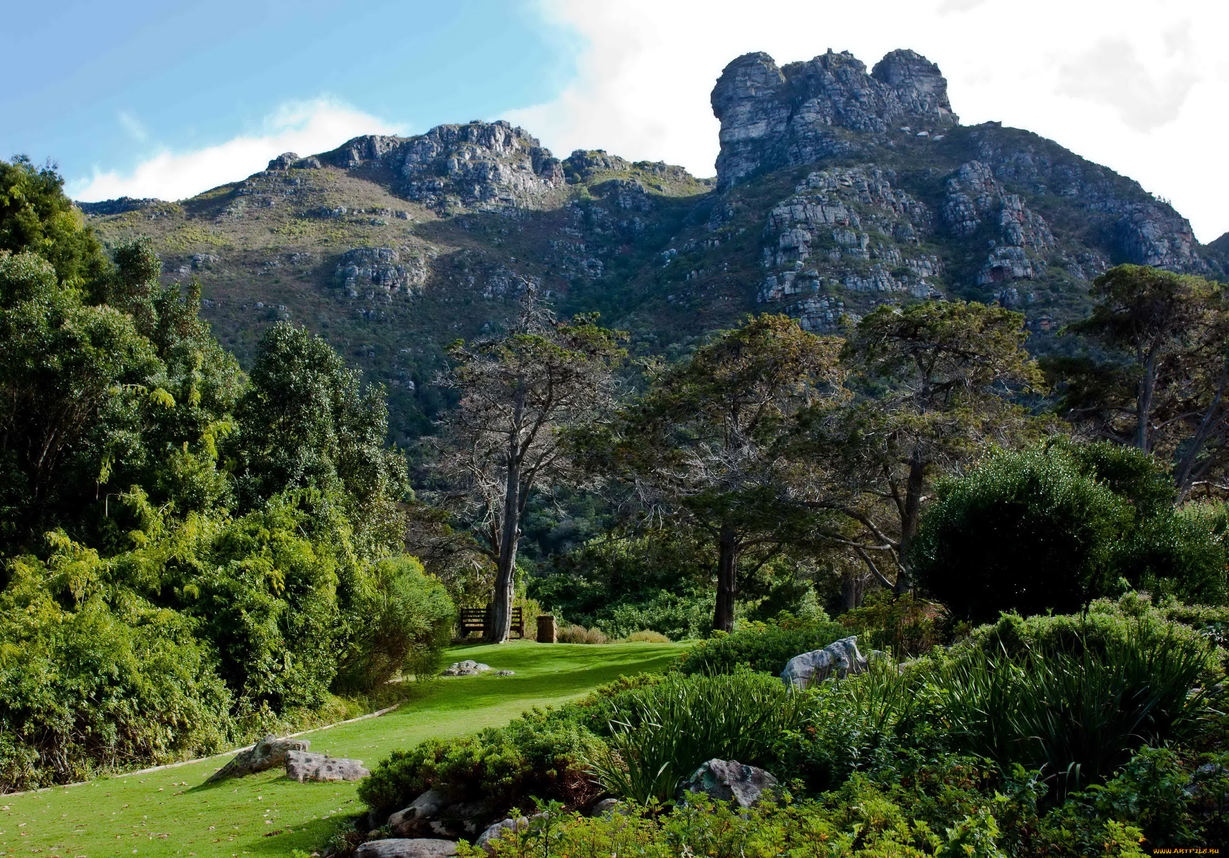 kirstenbosch, national, botanic, garden, south, africa, природа, парк, растения, дорожки