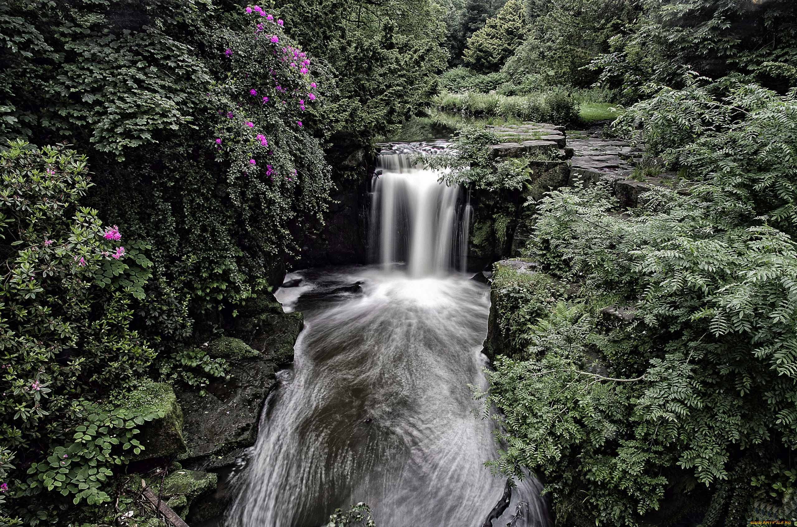 jesmond, dene, waterfall, newcastle, england, природа, водопады, кусты, лес, англия, ньюкасл