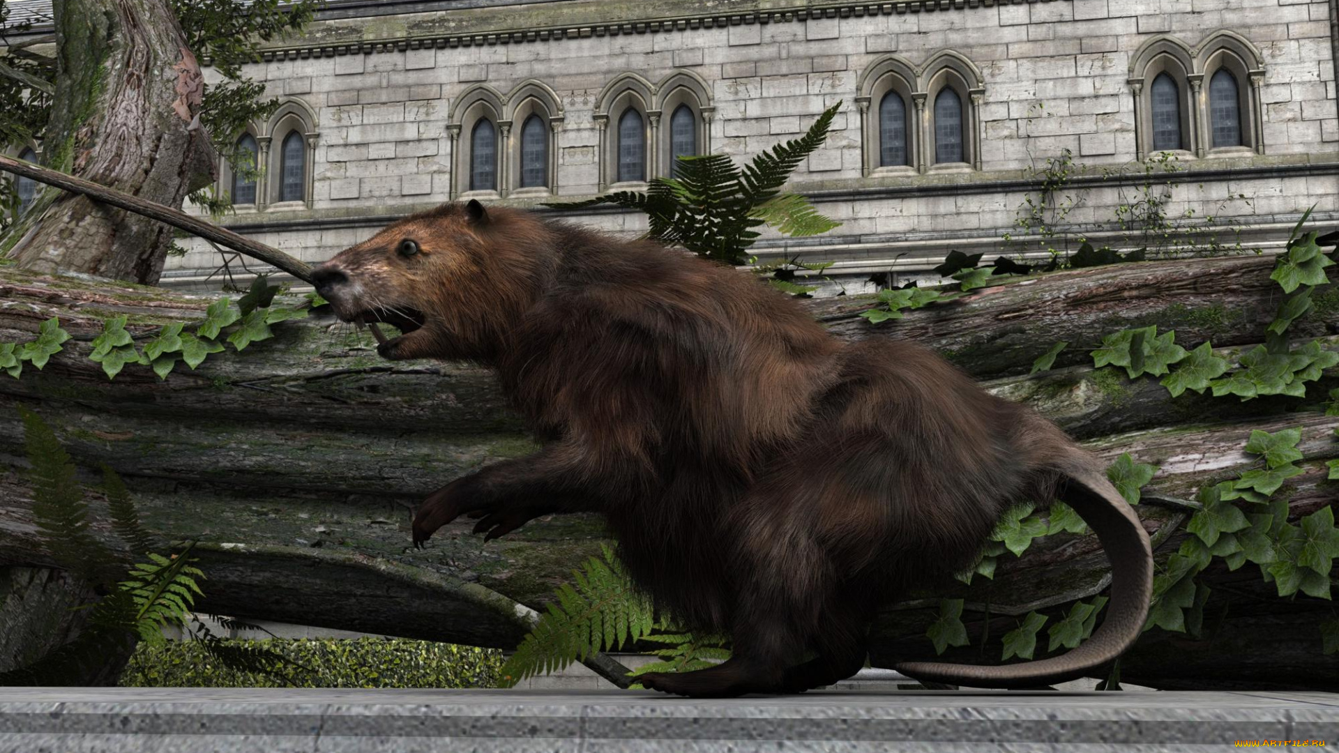 3д, графика, люди, , people, зверок