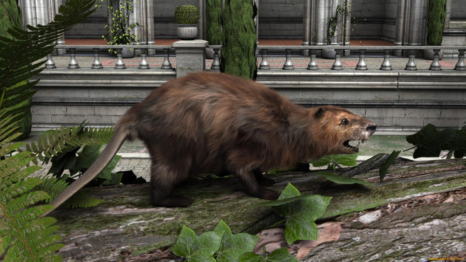 3д, графика, животные, , animals, зверок