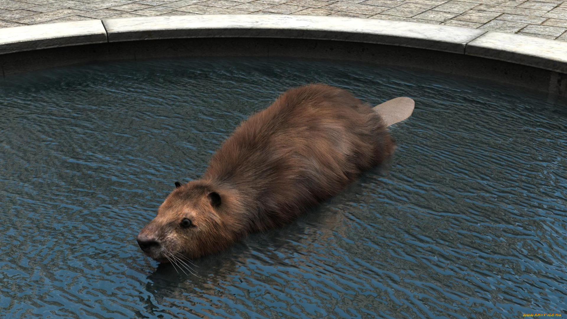 3д, графика, животные, , animals, зверок