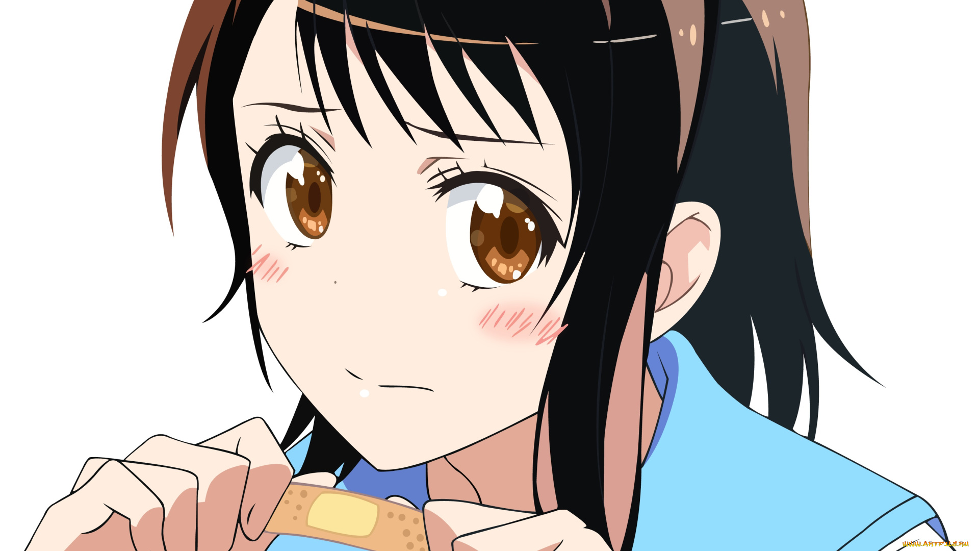 аниме, nisekoi, девушка, фон, взгляд, onodera, kosaki