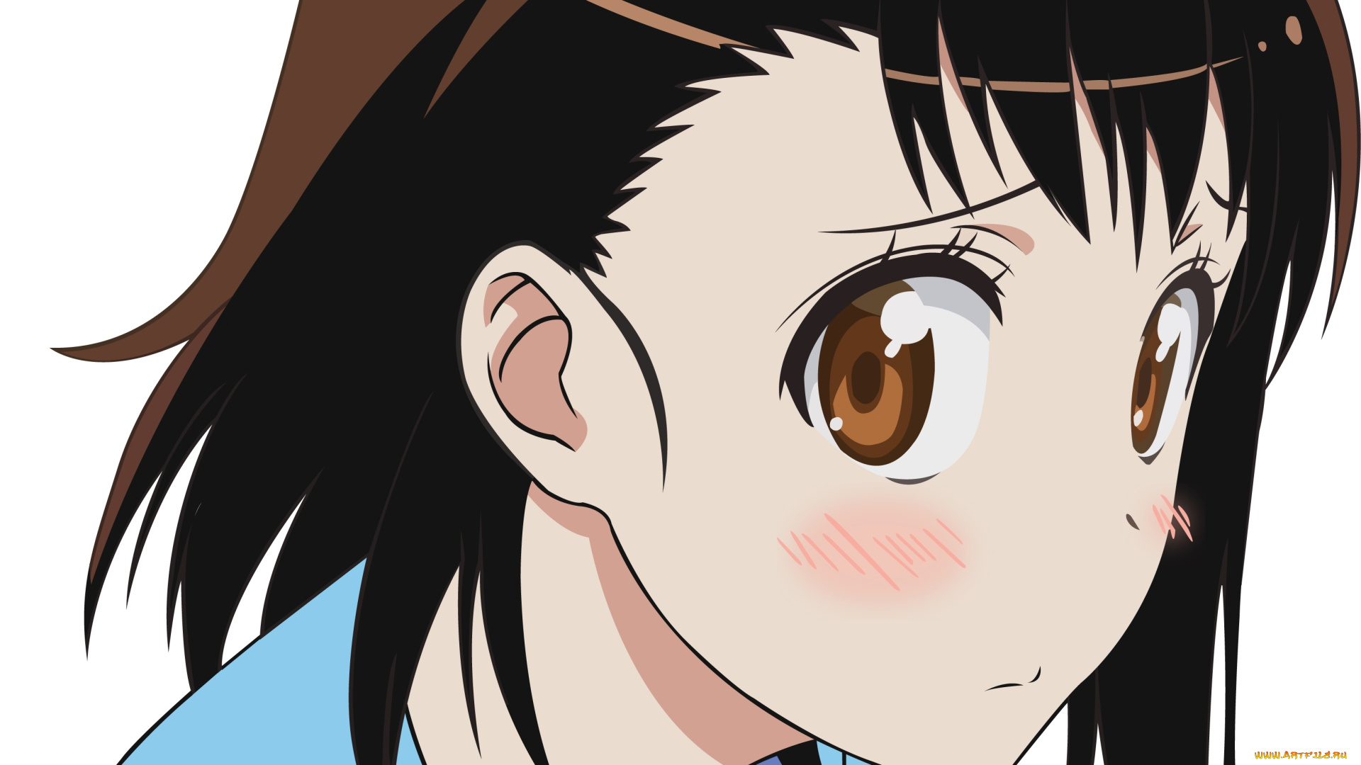 аниме, nisekoi, фон, взгляд, девушка, onodera, kosaki