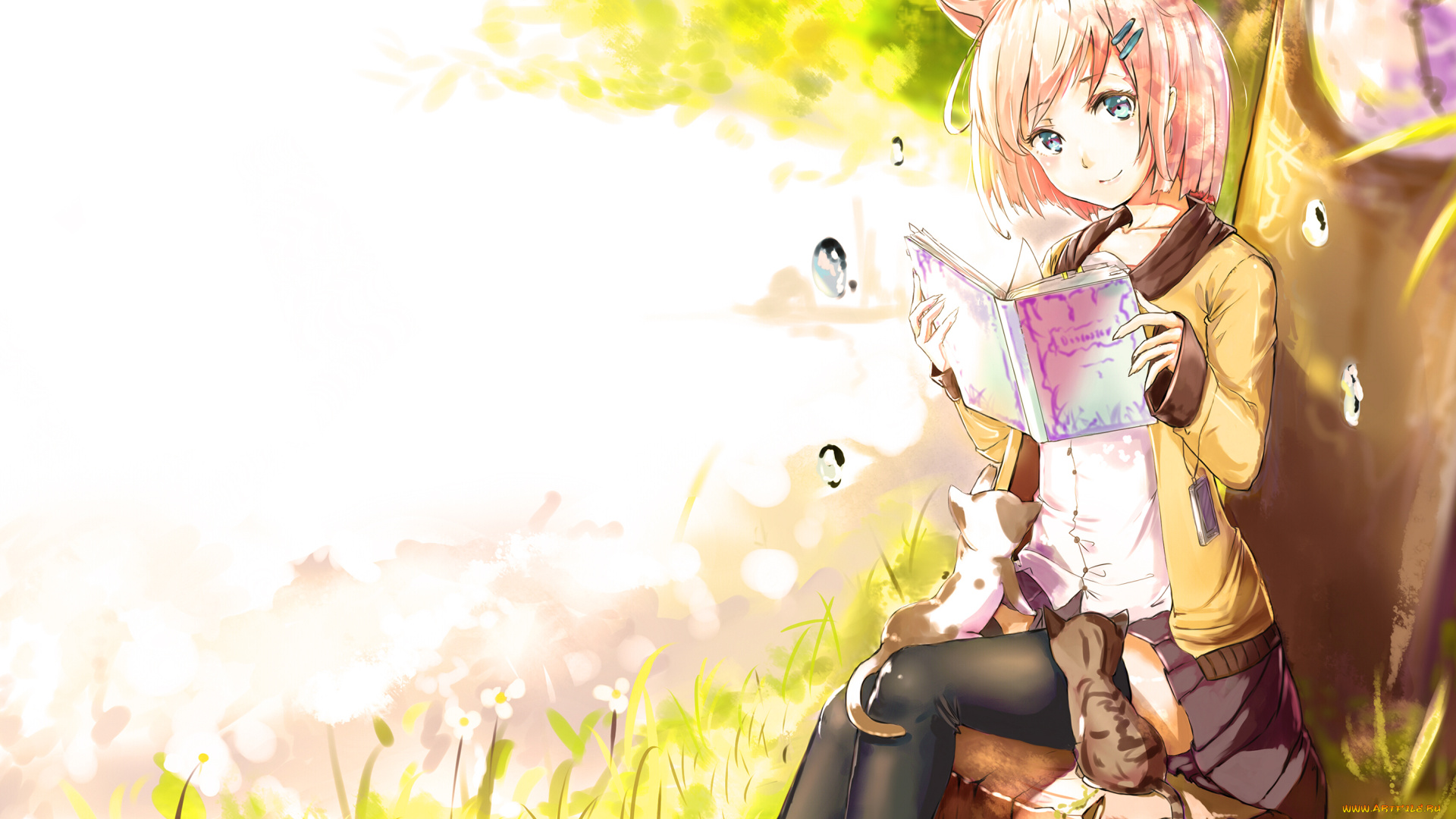 аниме, животные, , существа, книга, ушки, солнечно, лето, пень, котята, девушка, арт, tagme, artist