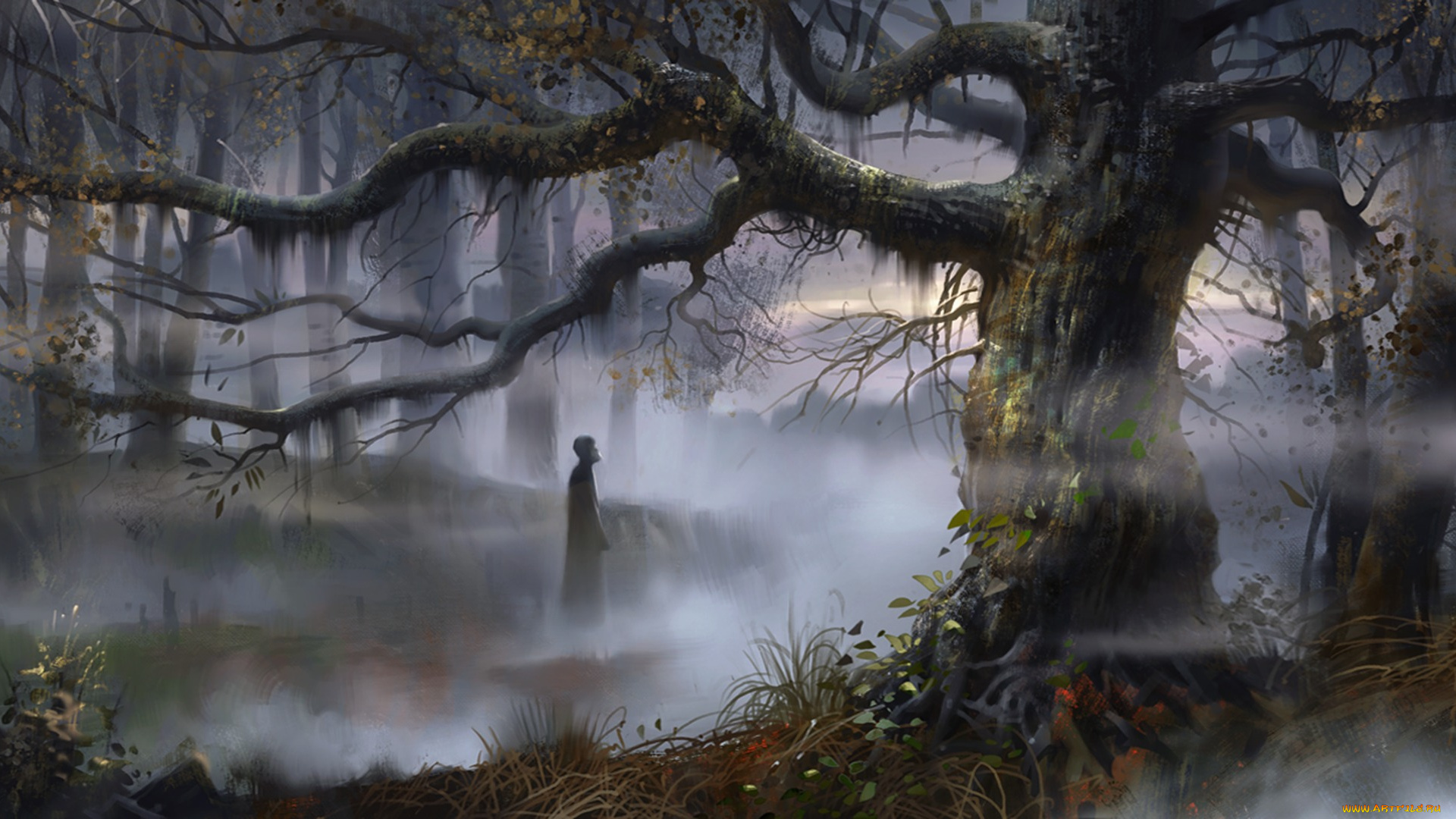 фэнтези, пейзажи, арт, туман, деревья, болота, русь, человек, лес