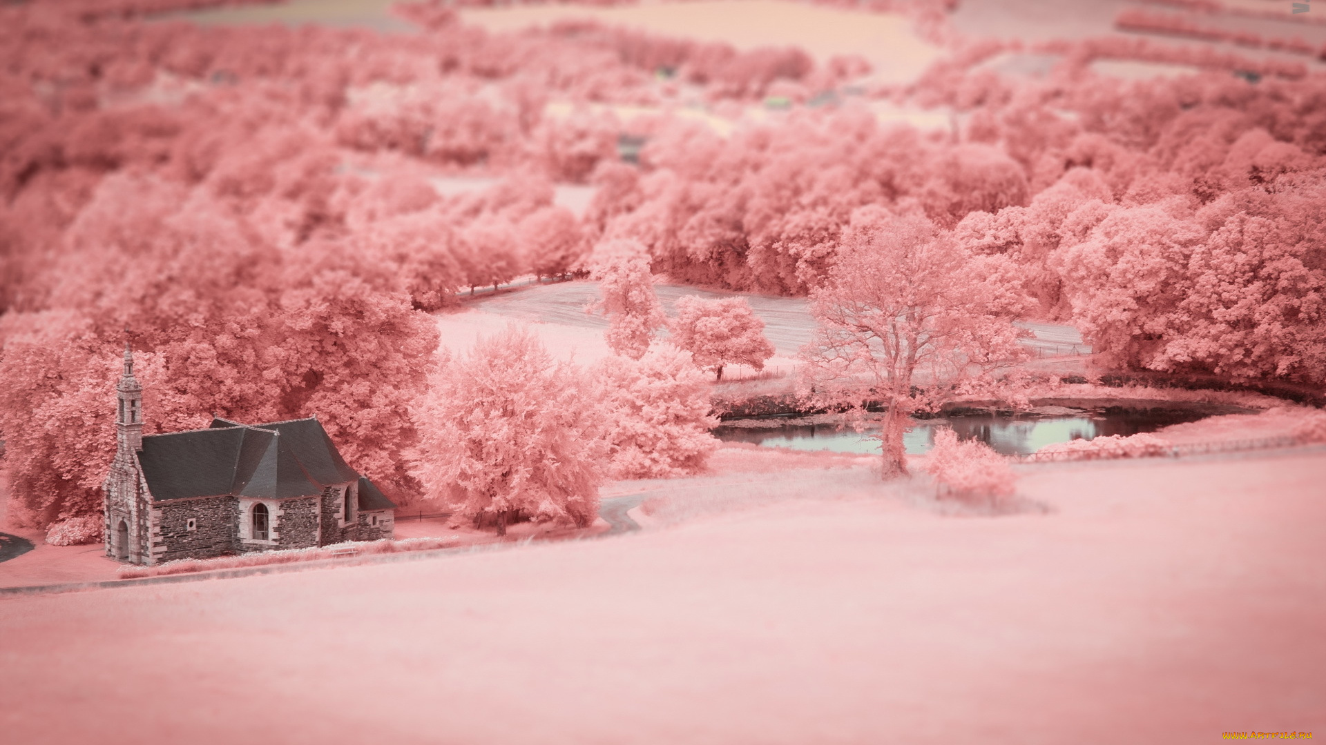 разное, компьютерный, дизайн, цвет, храм, поле