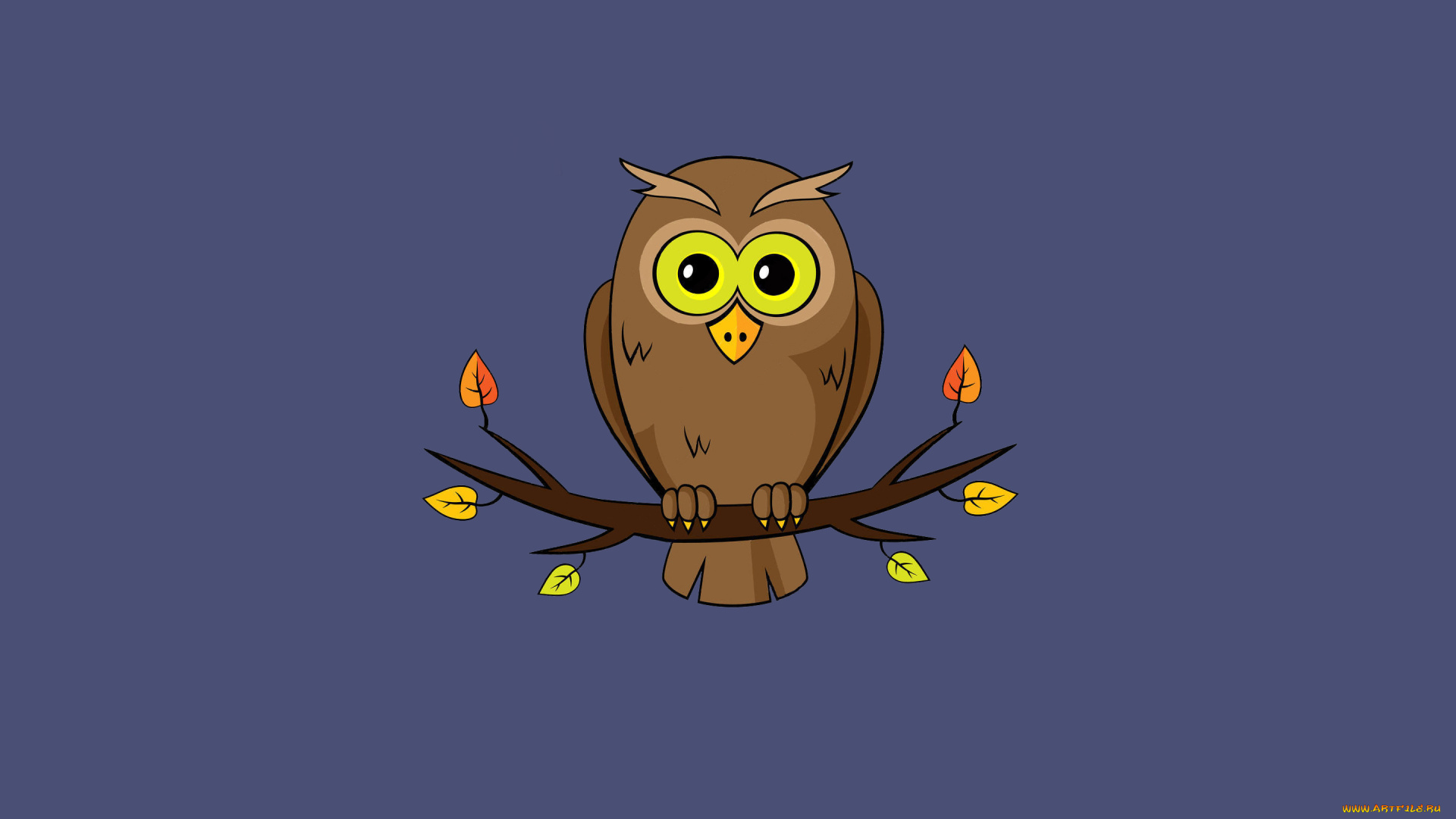 сова, рисованное, минимализм, ветка, птица
