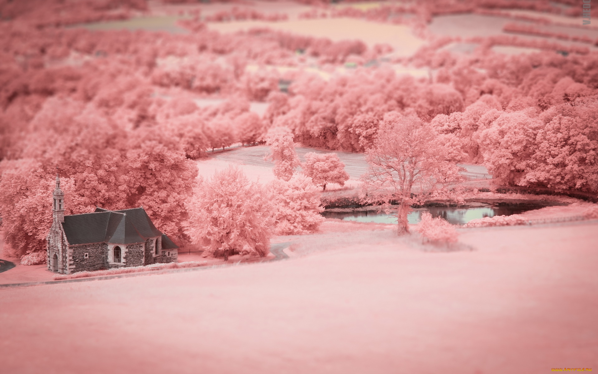 разное, компьютерный, дизайн, цвет, храм, поле