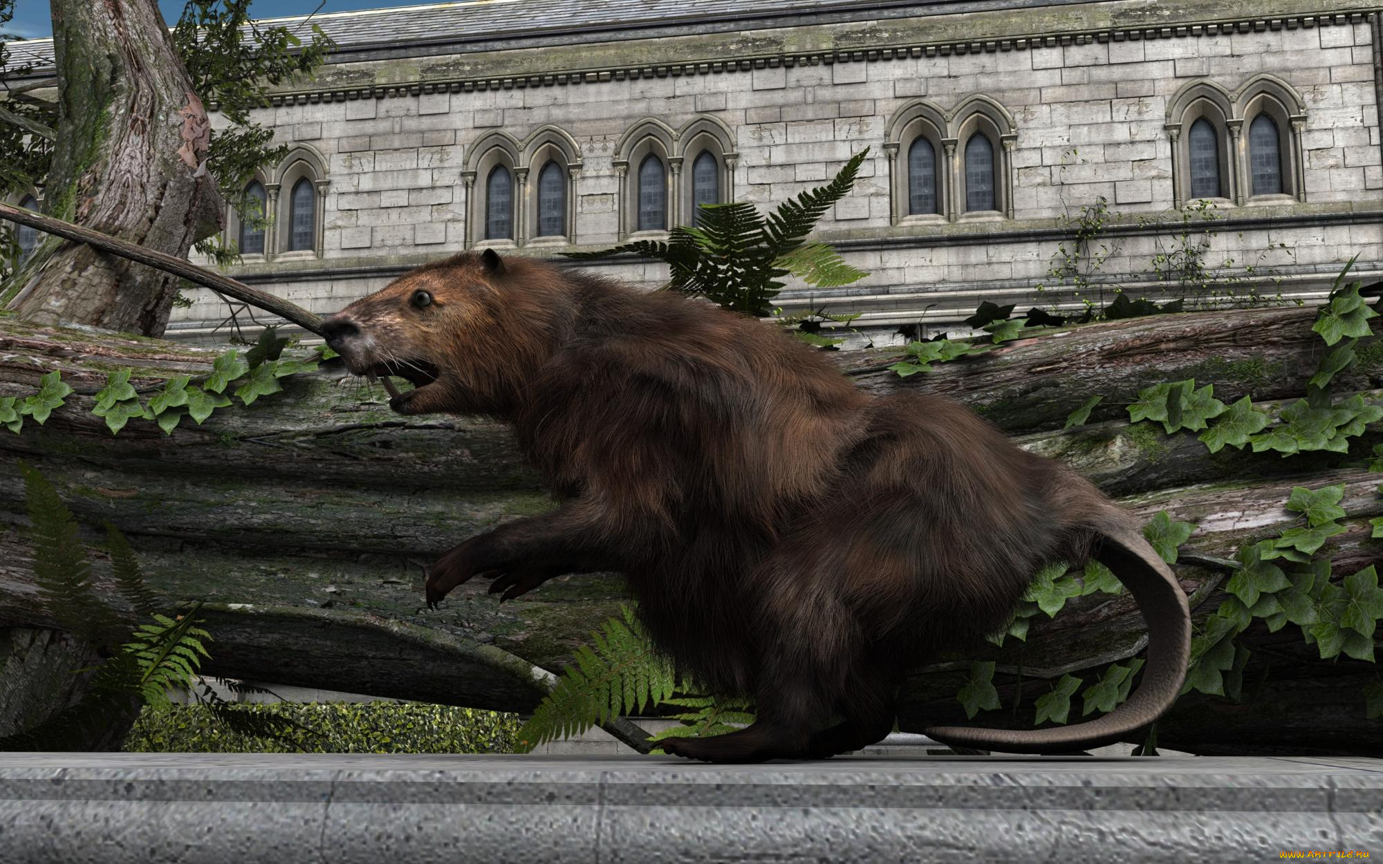 3д, графика, люди, , people, зверок