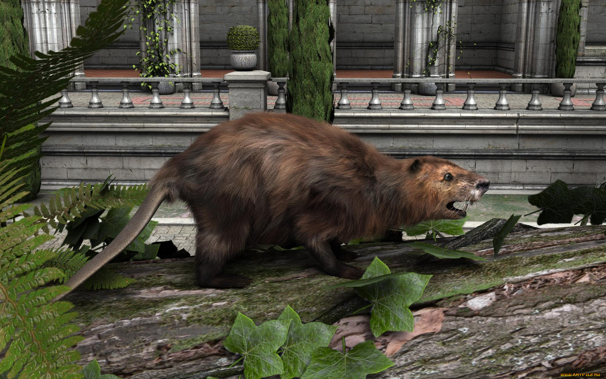 3д, графика, животные, , animals, зверок