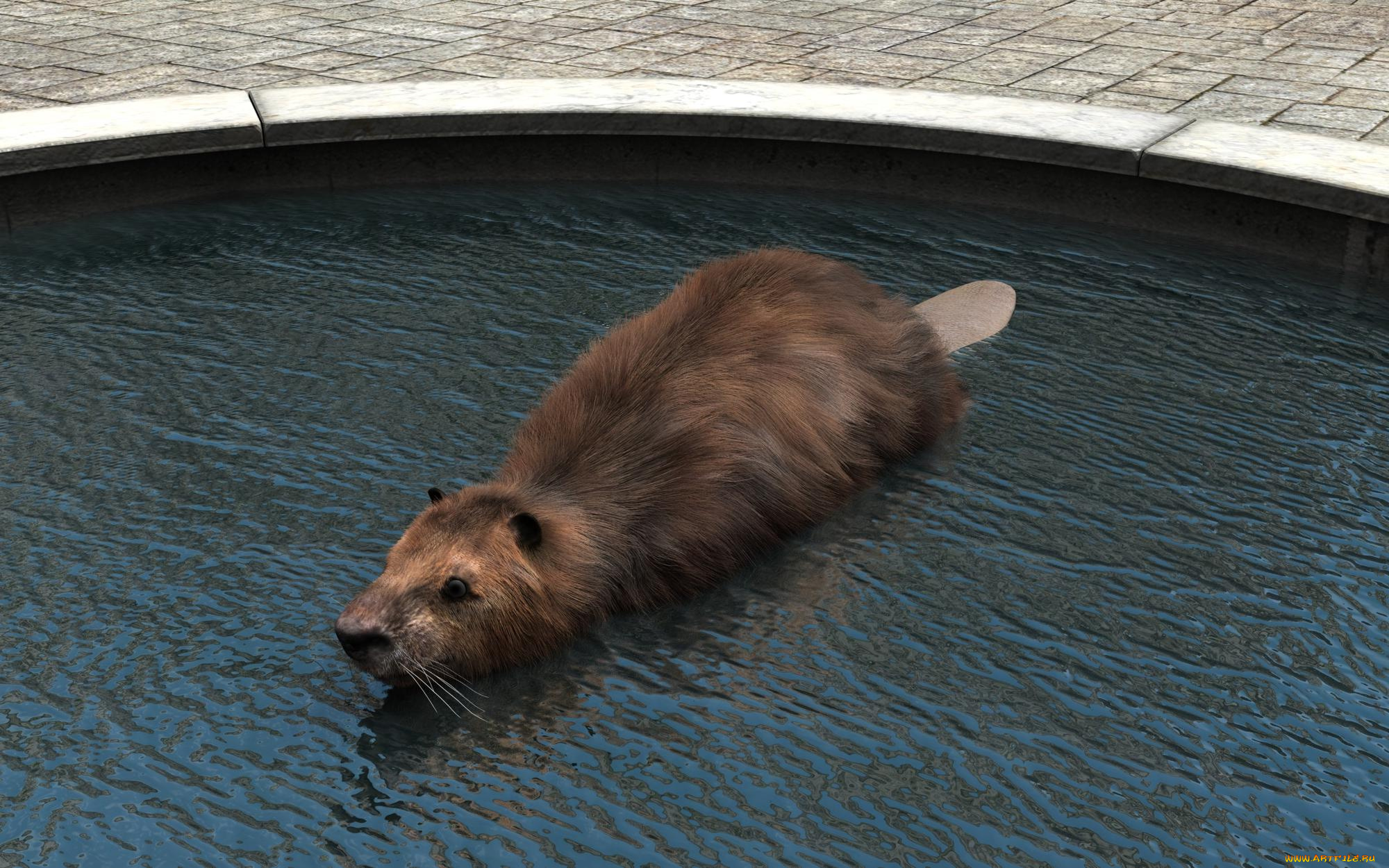 3д, графика, животные, , animals, зверок