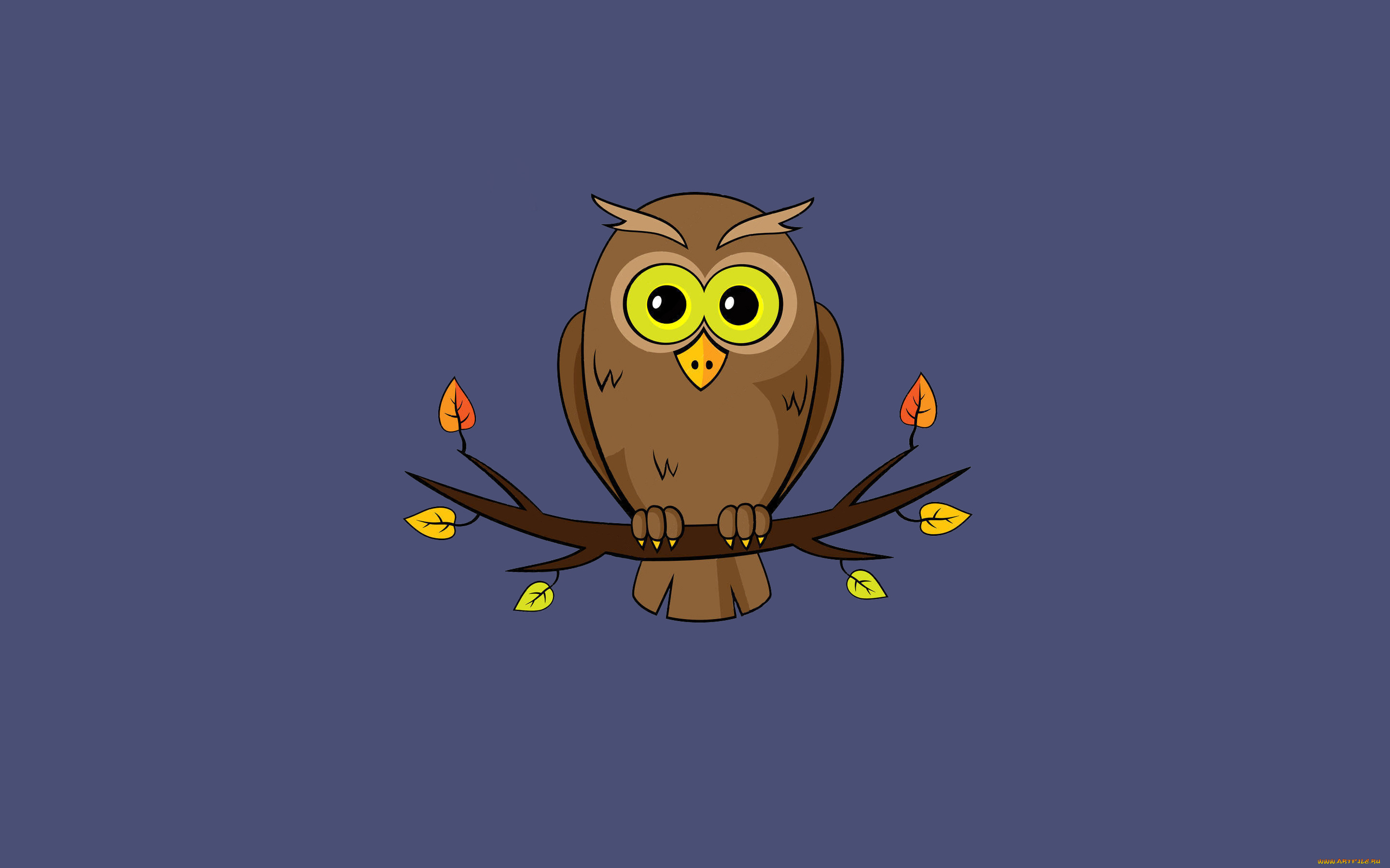 сова, рисованное, минимализм, ветка, птица