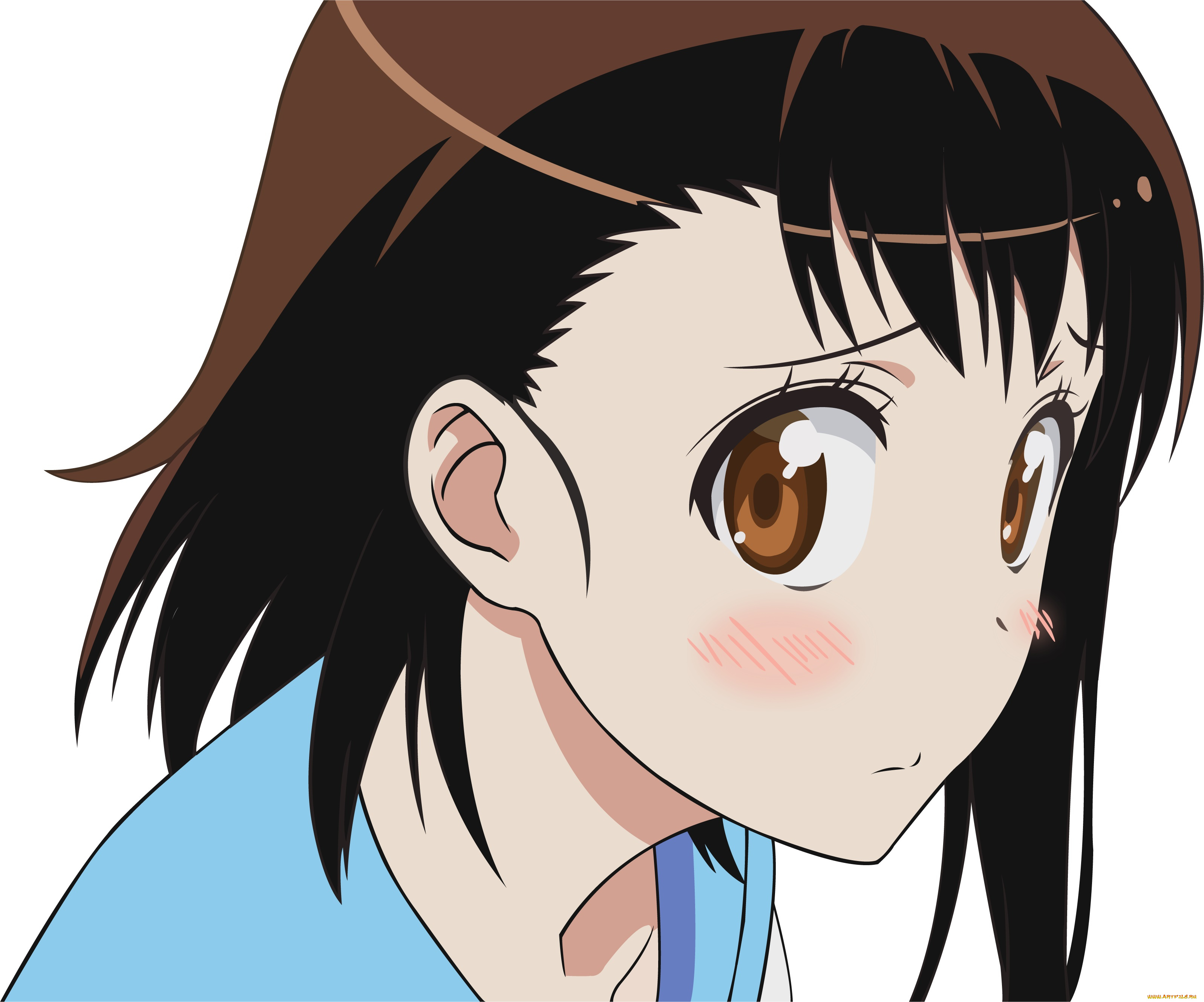 аниме, nisekoi, фон, взгляд, девушка, onodera, kosaki