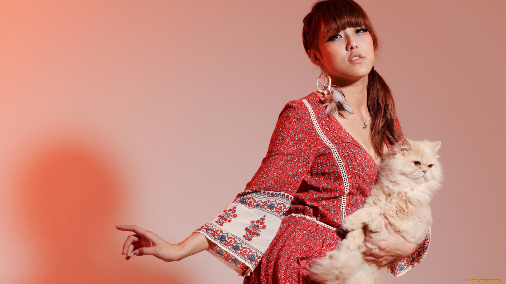 девушки, -unsort, , азиатки, модель, азиатка, персидская, кошка, кот, фон