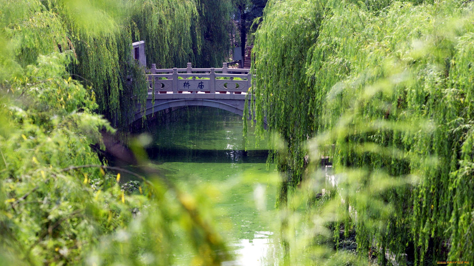 природа, парк, зелень, мостик, ручей