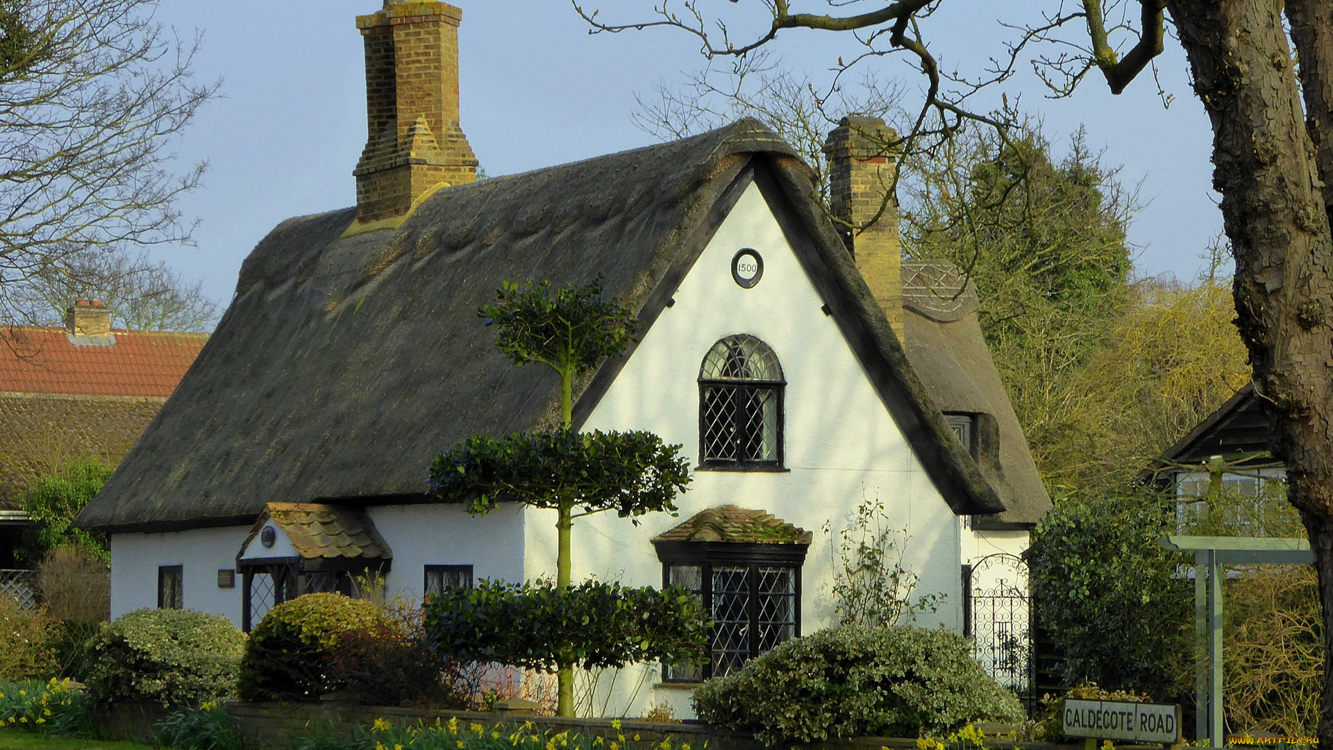 англия, города, -, здания, , дома, деревья, цветы, кустарники