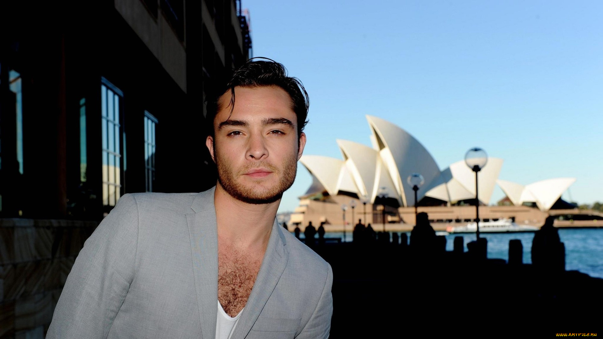 мужчины, ed, westwick, ed, westwick