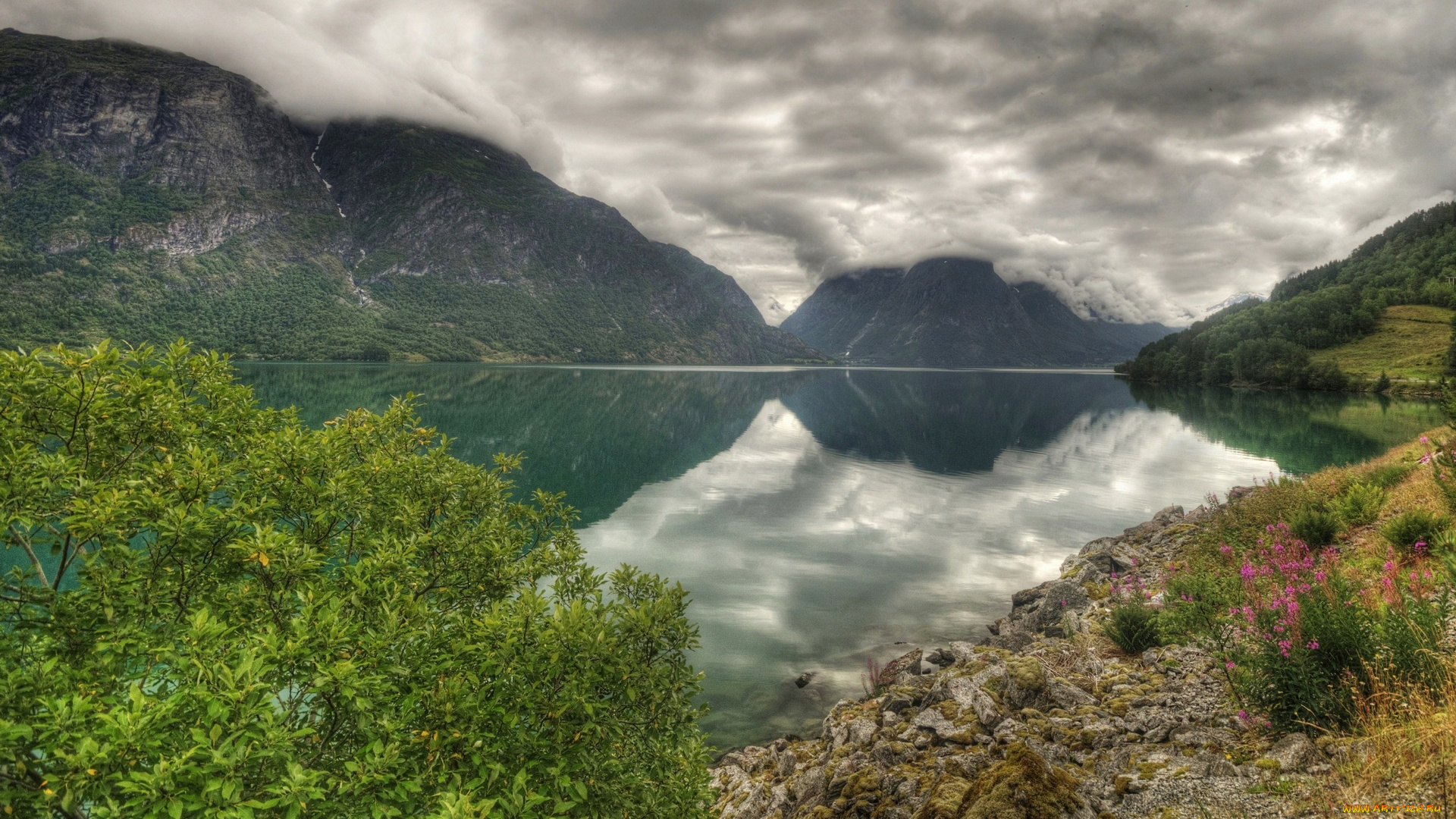 норвегия, природа, реки, озера, цветы, деревья, камни, облака, вершины, озеро