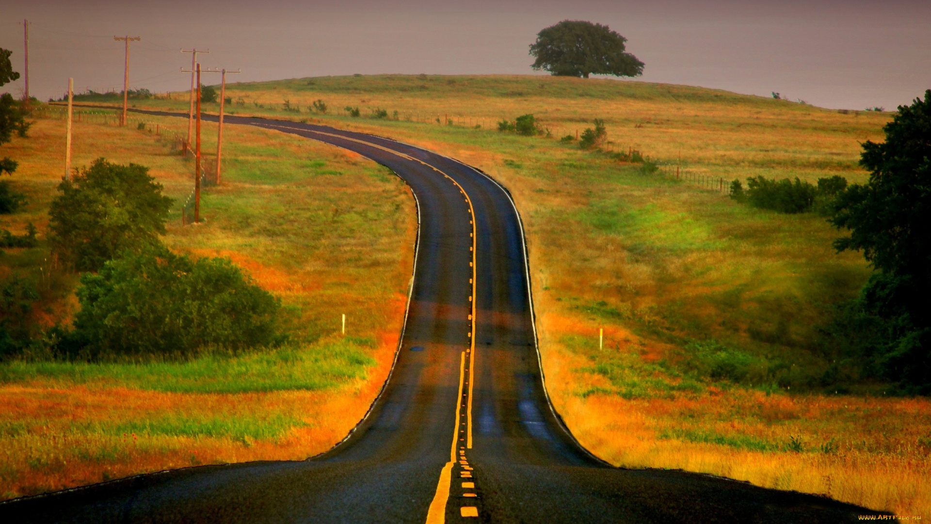 природа, дороги, шоссе