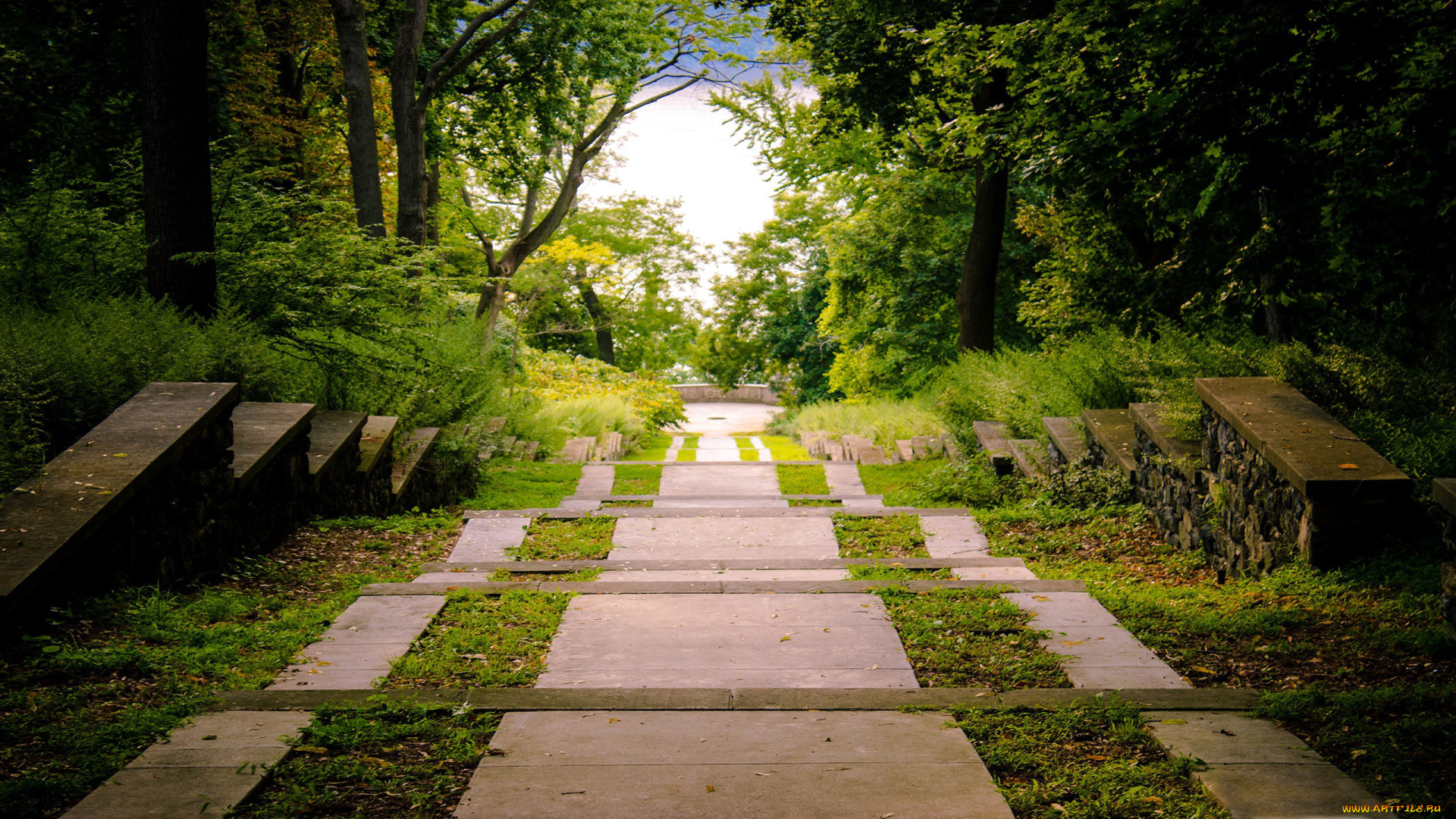 природа, парк, ступени, деревья
