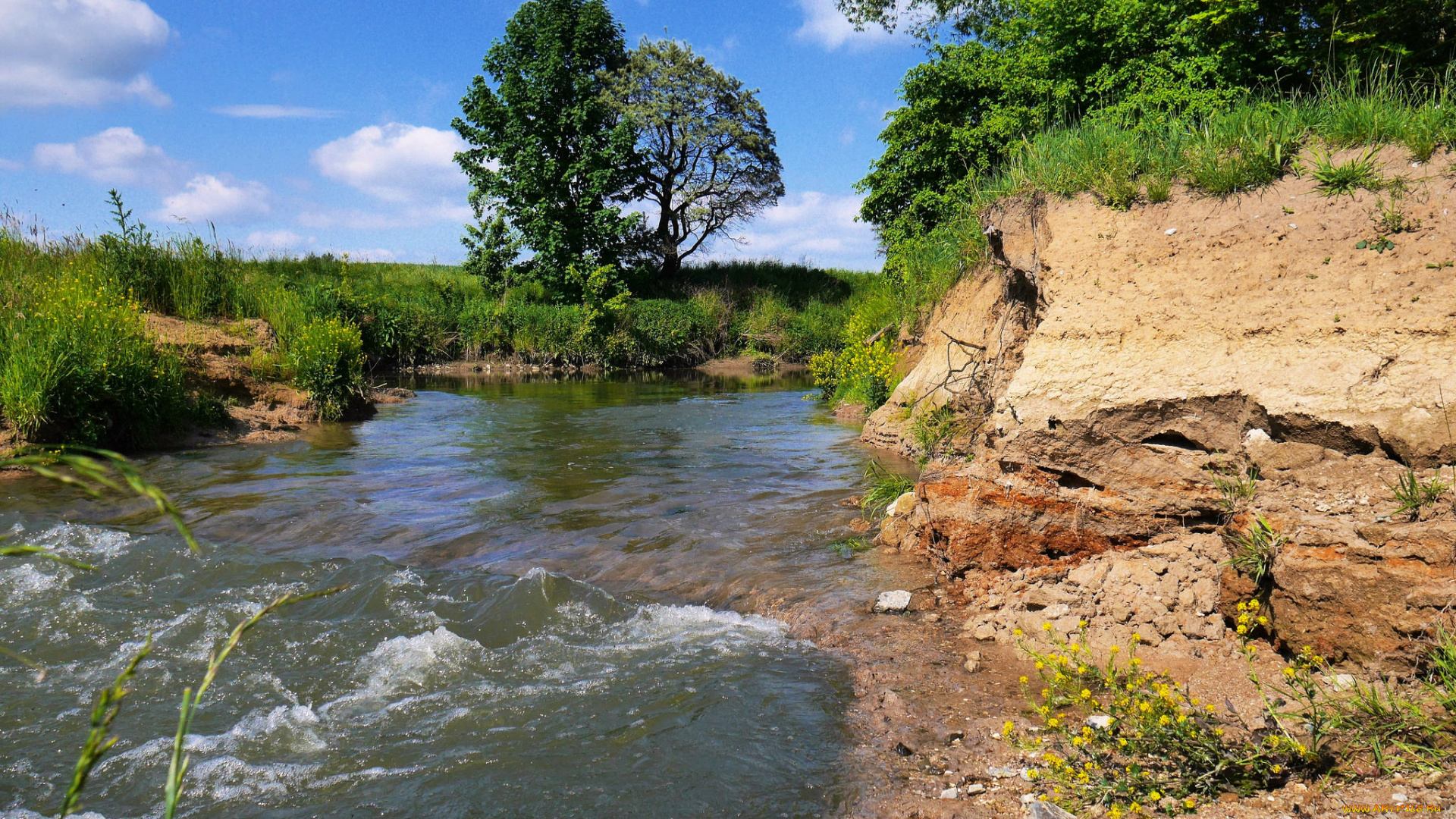 природа, реки, озера, лес, река