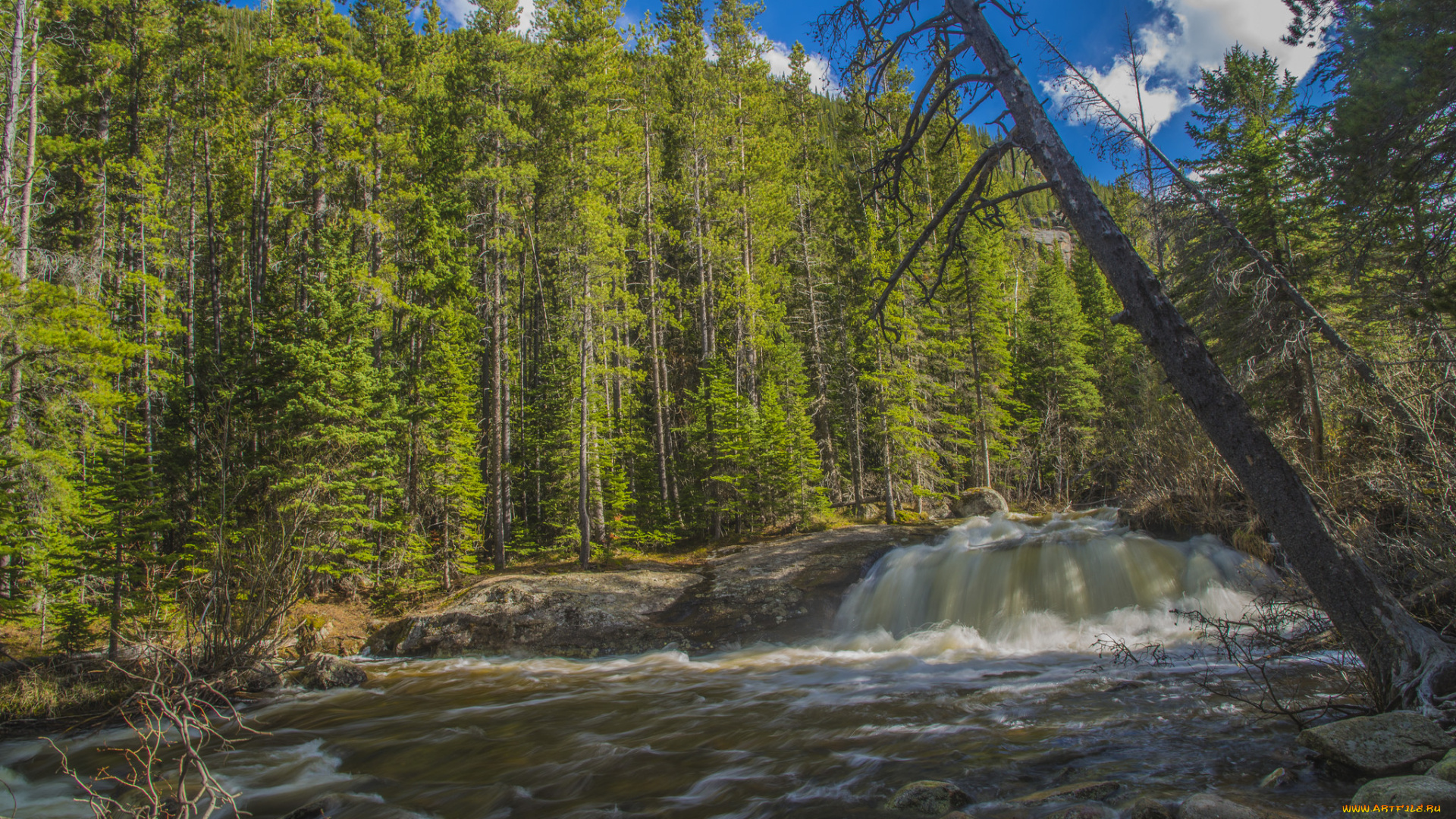 природа, реки, озера, лес, река