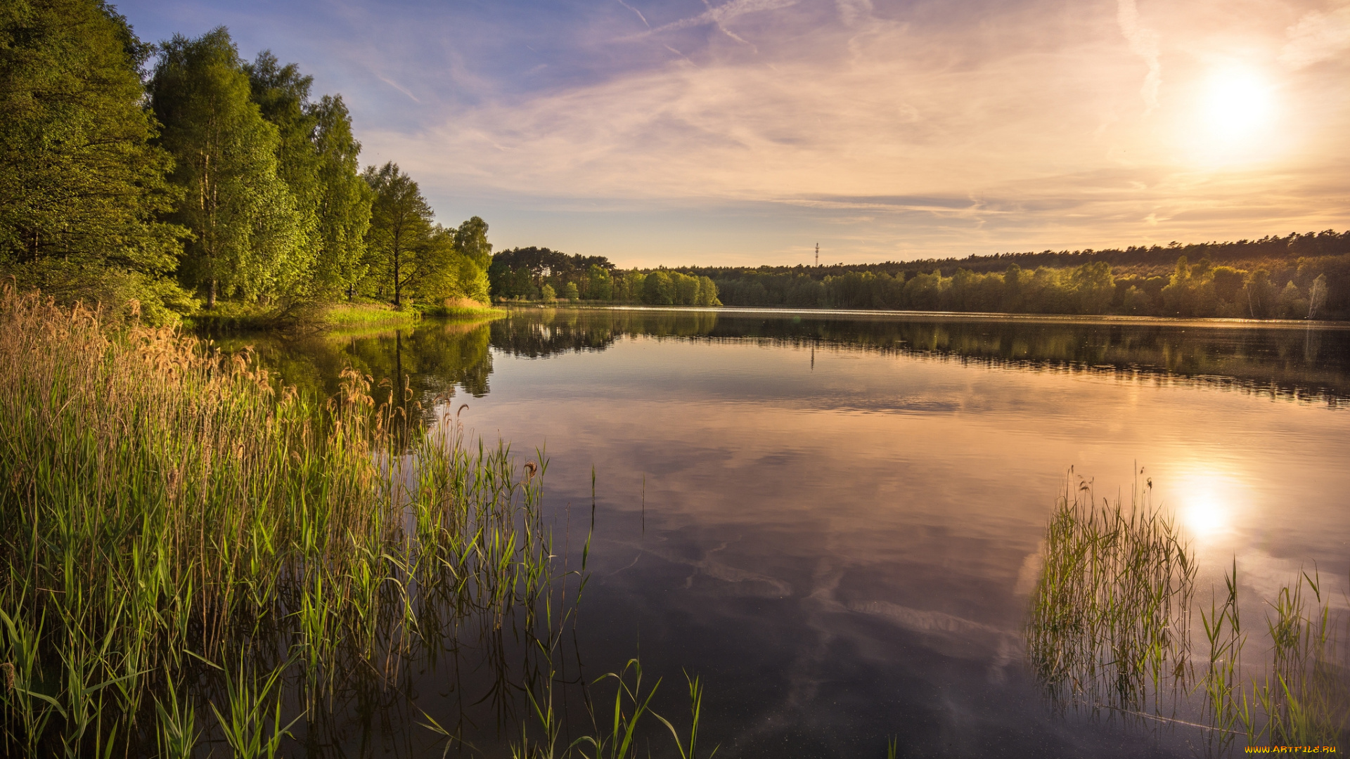 природа, реки, озера, лес, река