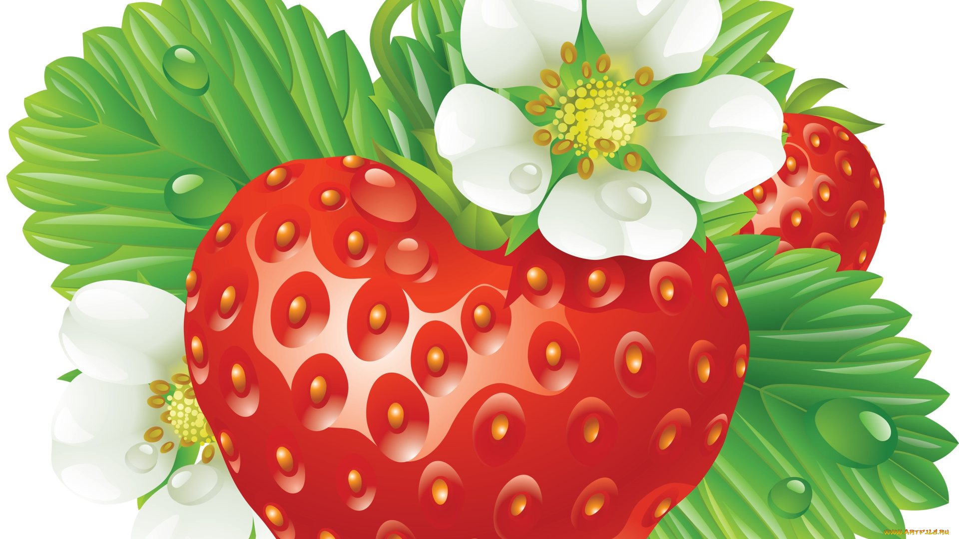 векторная, графика, еда, , food, клубника, ягода