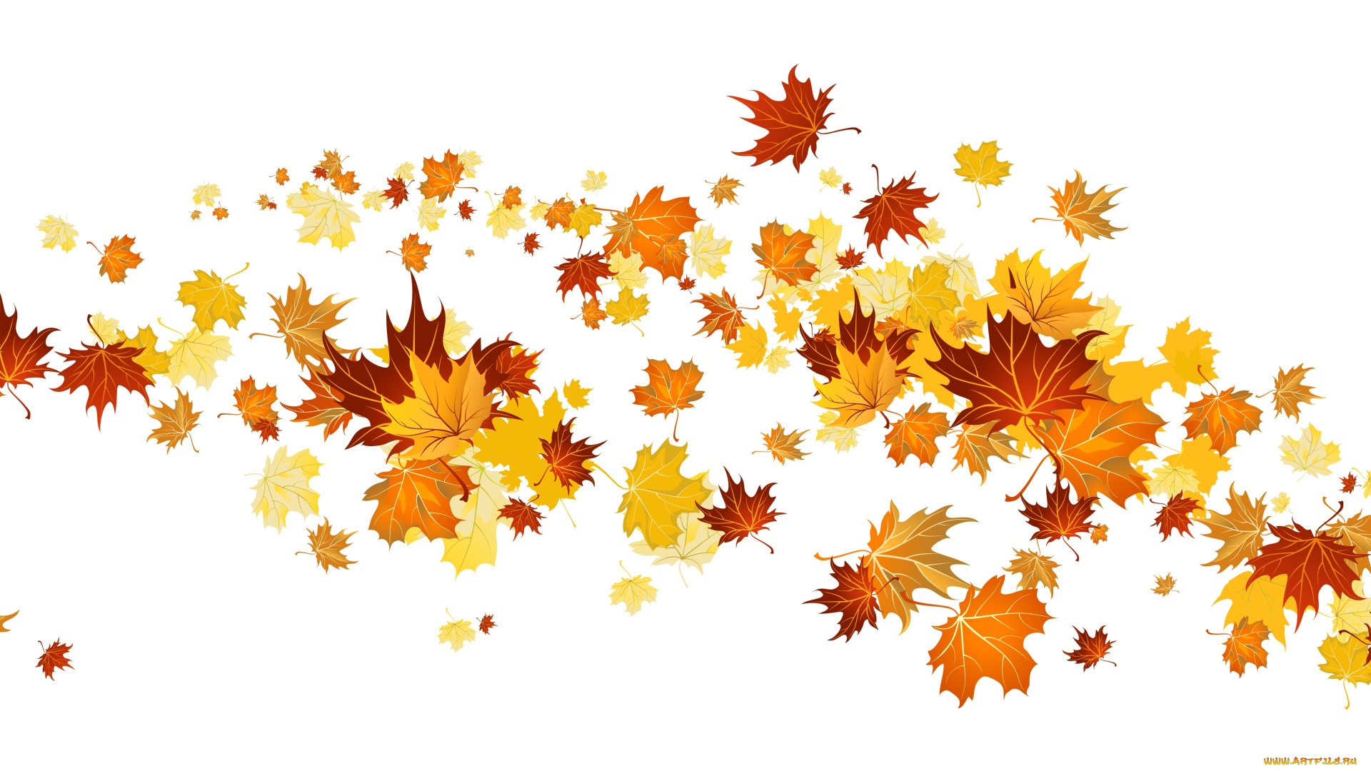 векторная, графика, природа, , nature, фон, листья