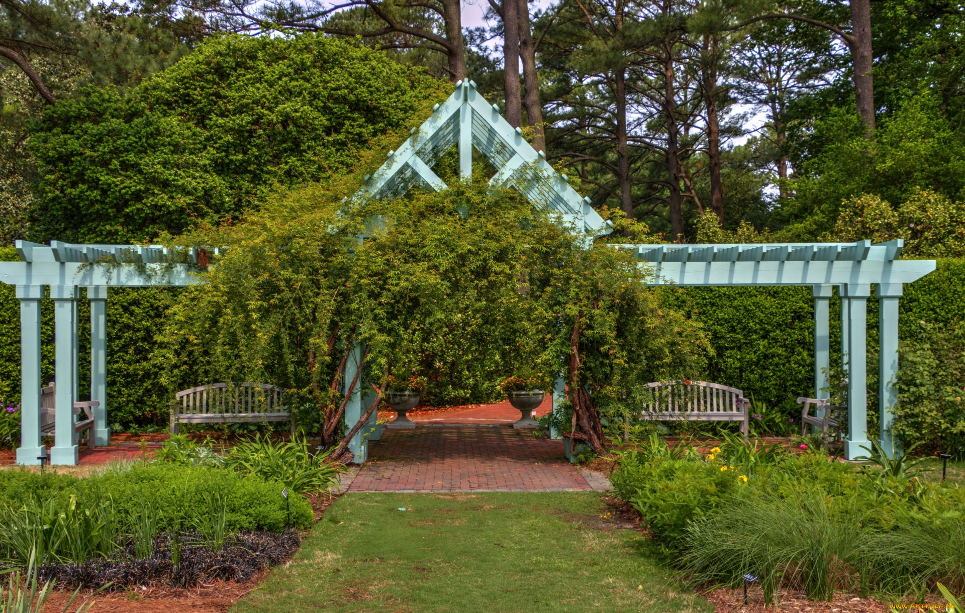 природа, парк, скамейки, трава, деревья